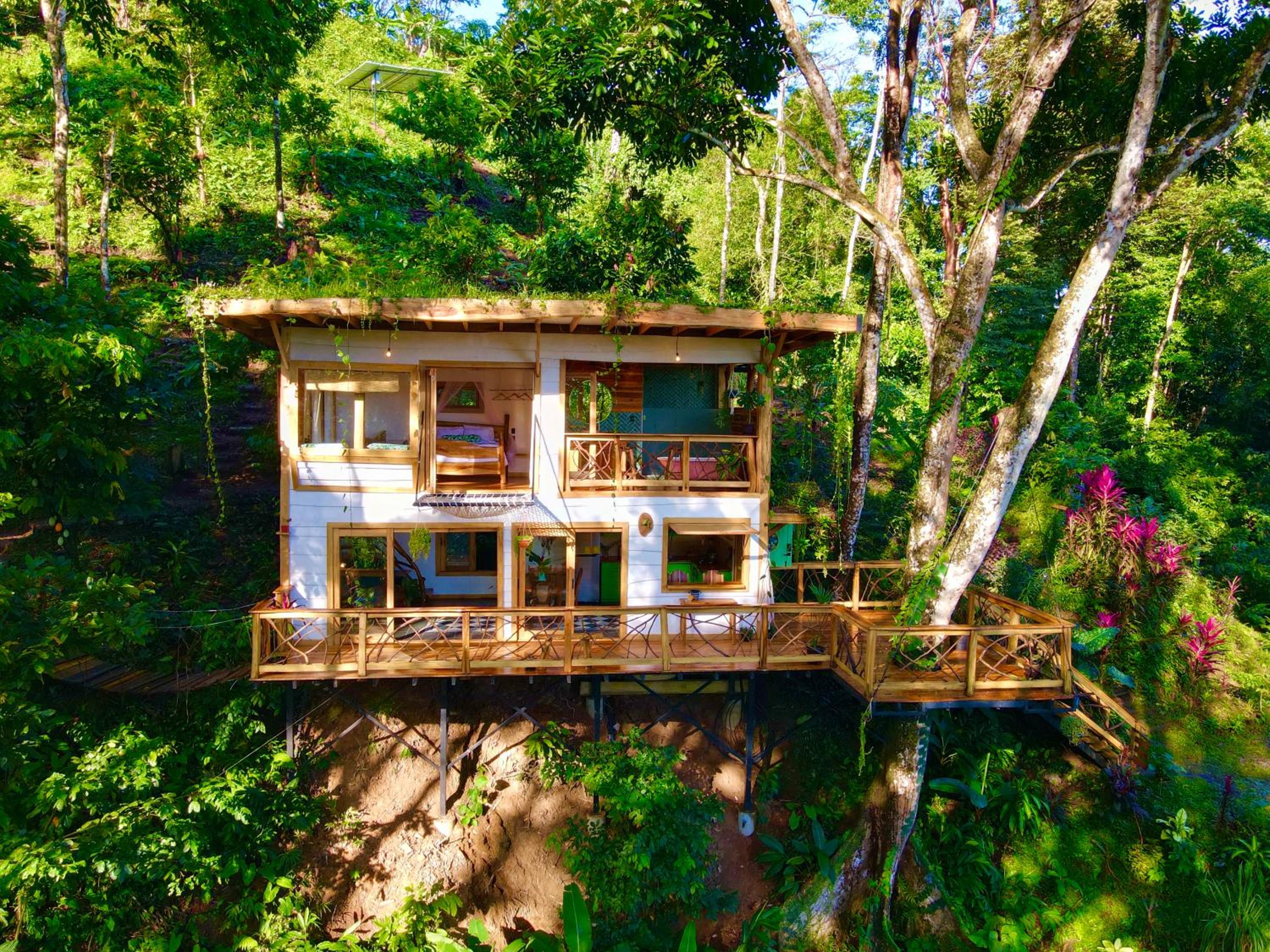 Jungle Spirit Treehouse