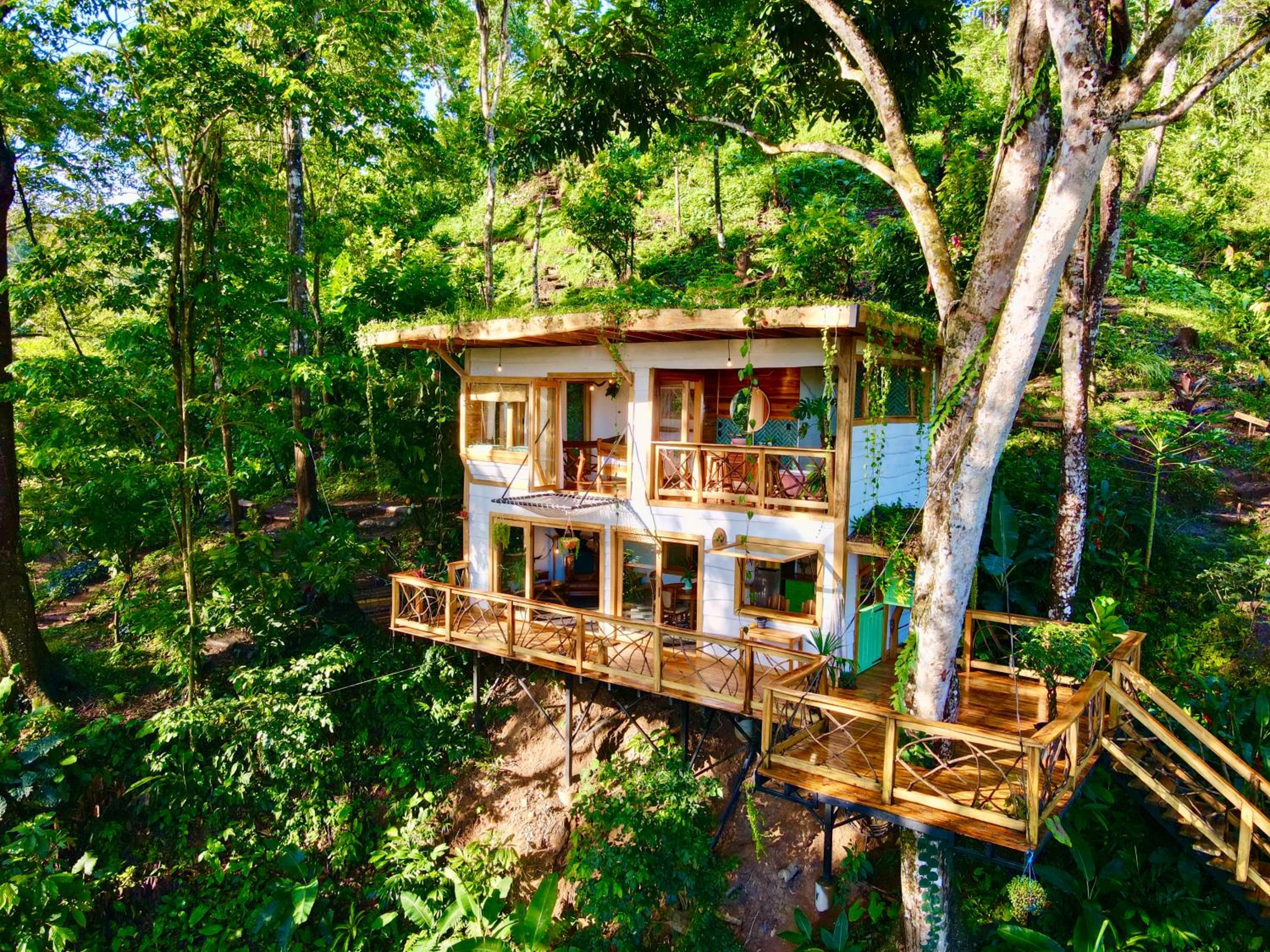 Jungle Spirit Treehouse