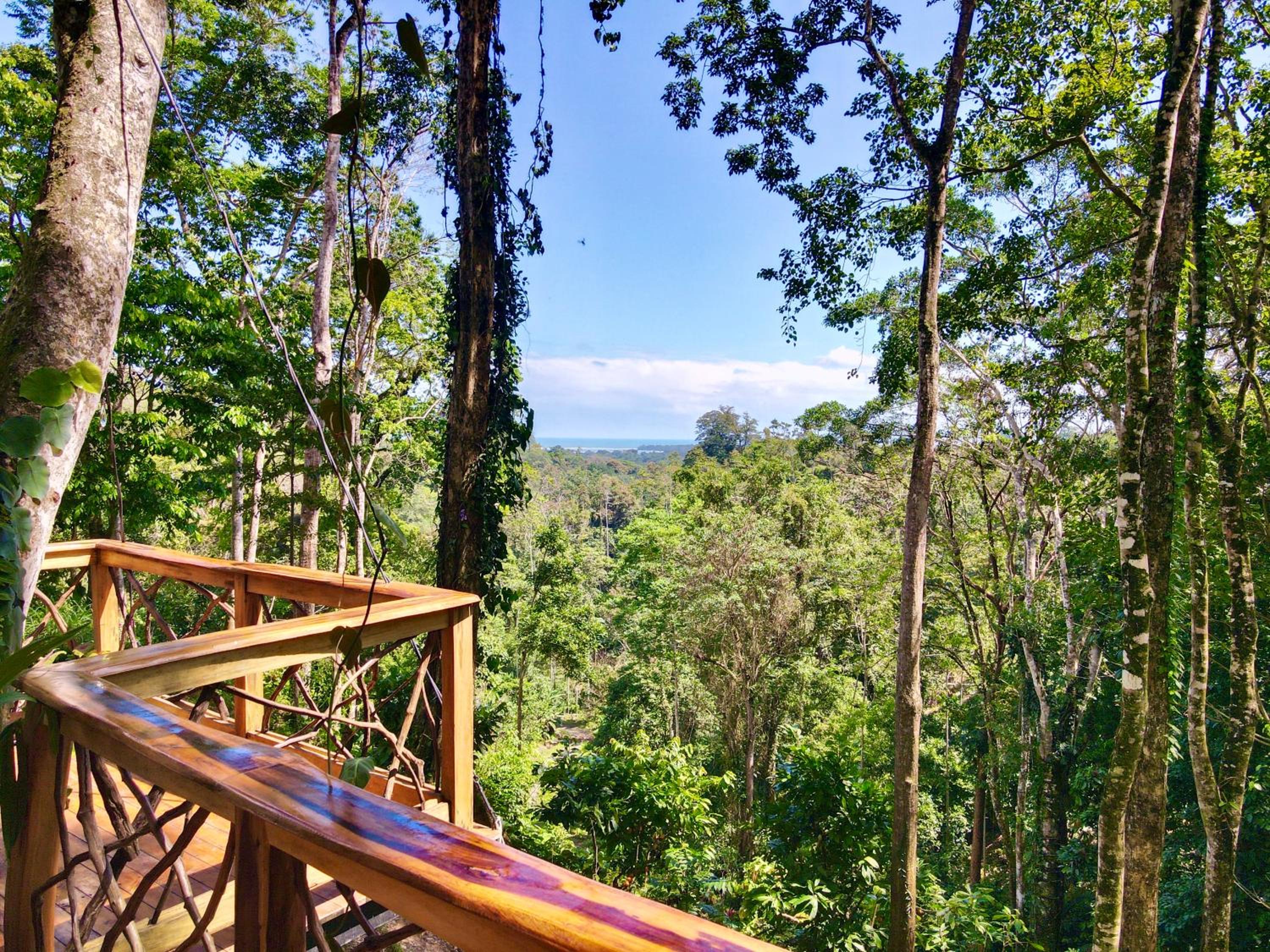 Jungle Spirit Treehouse