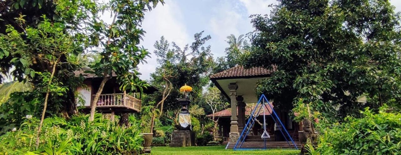 Mesari Cottage Guest House view 5