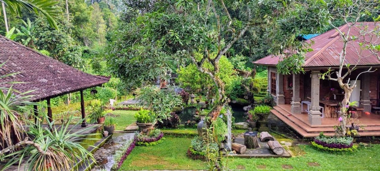 Mesari Cottage Guest House view 4