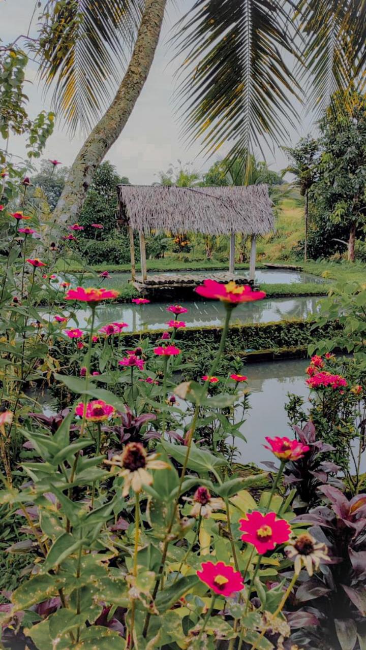 Mesari Cottage Guest House view 2