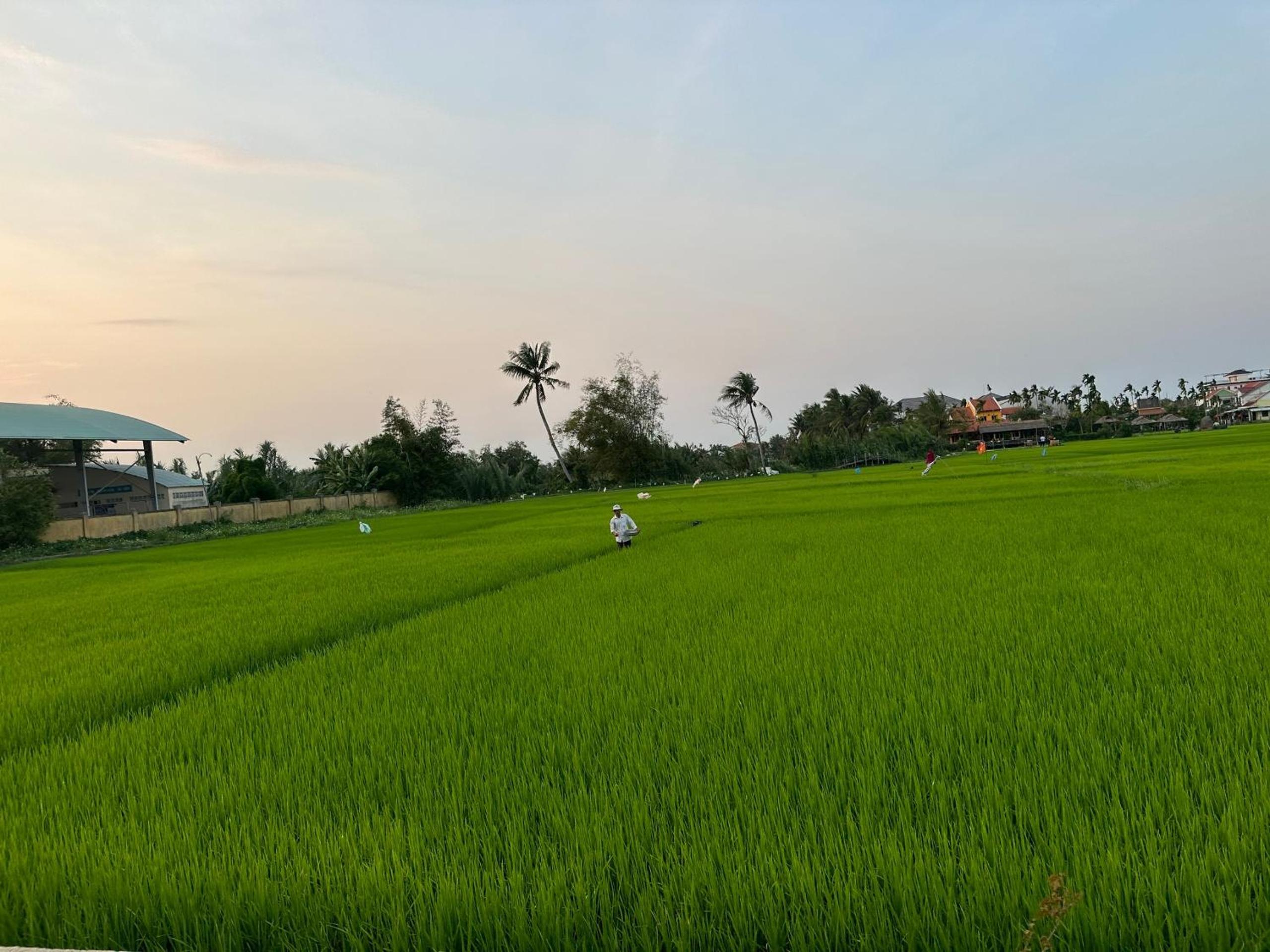 Water Palm Residence