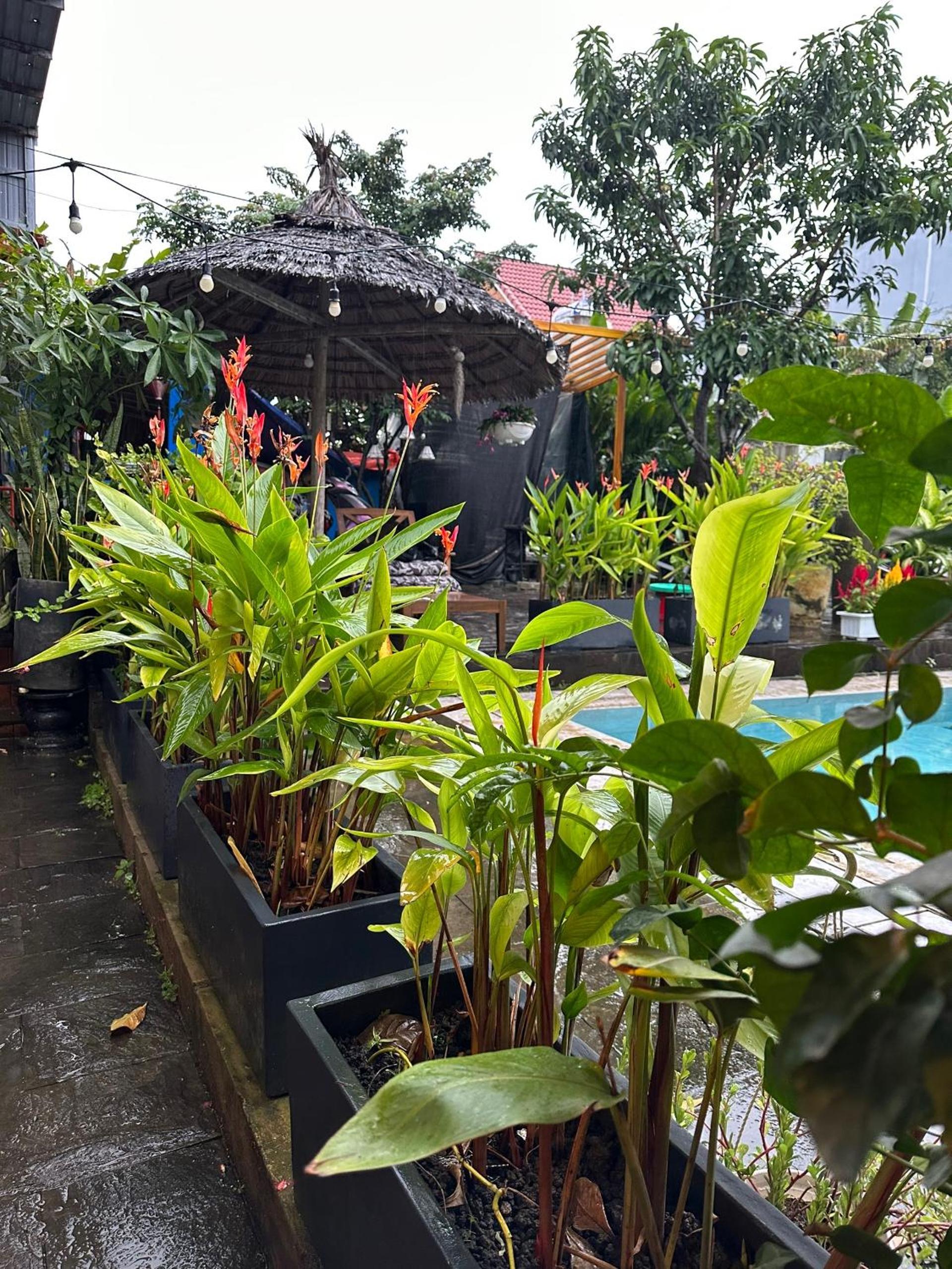 Water Palm Residence