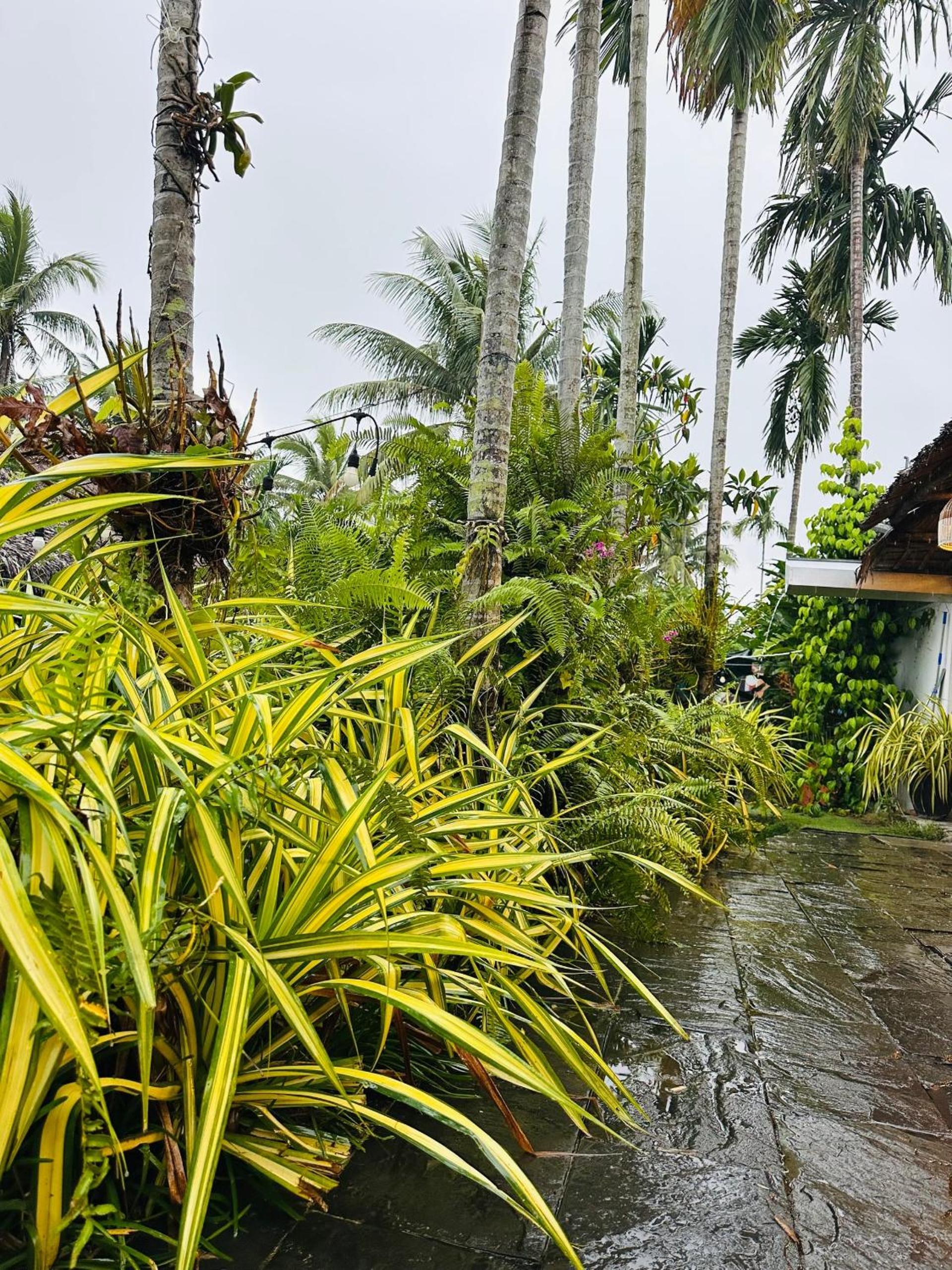 Water Palm Residence