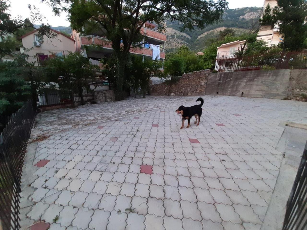 Apartmani Nikolić Sutomore view 3