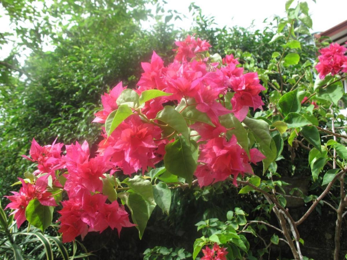 Photo 27