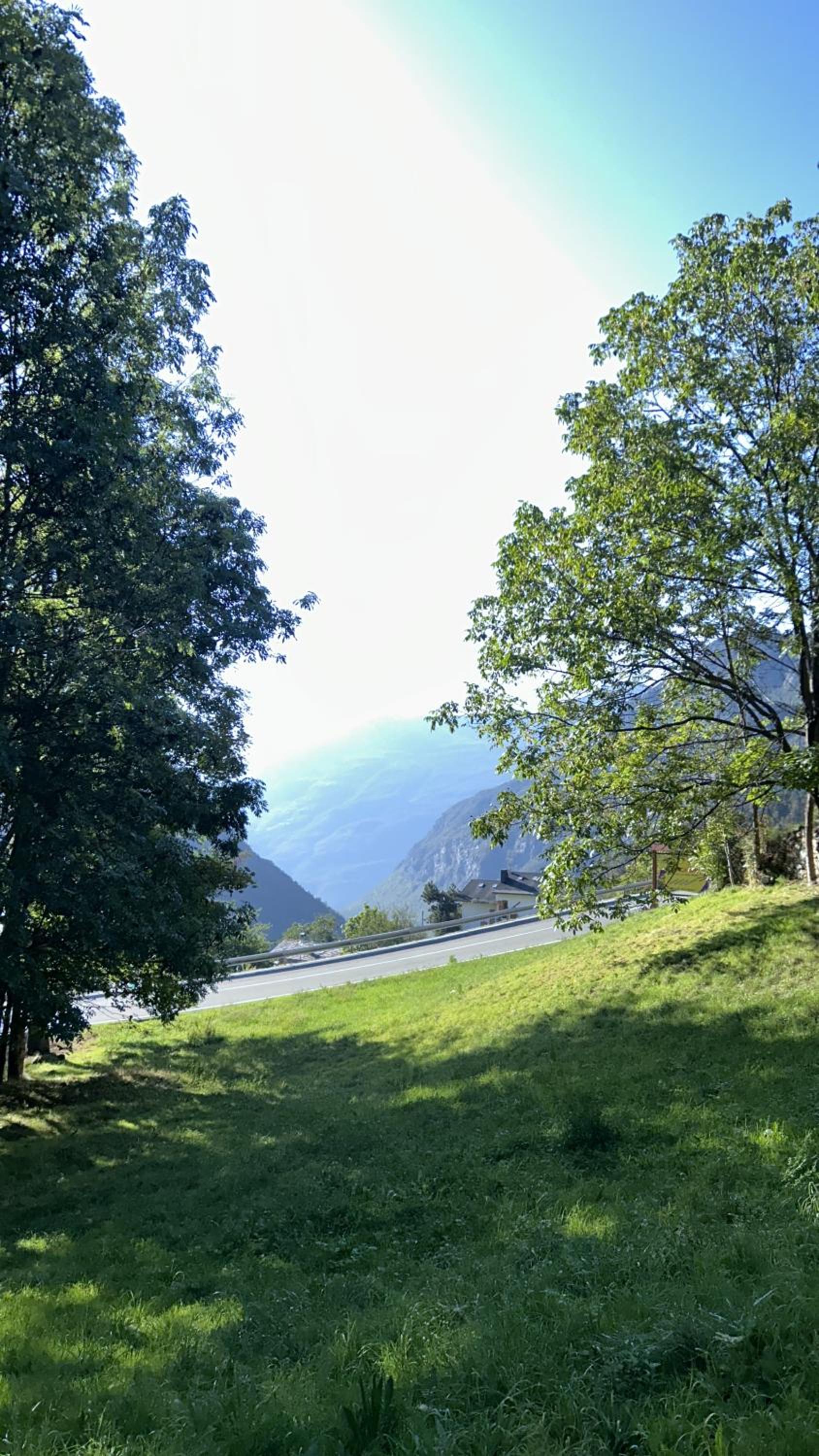 Photo 201
