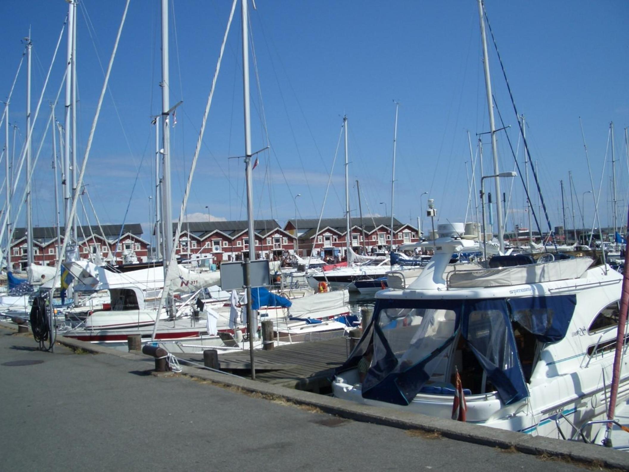 Photo 46