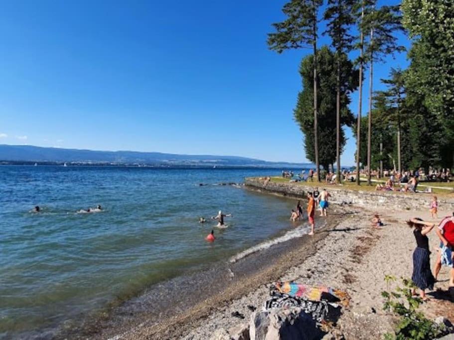 Beausoleil SPA Villa XL-Geneva, Lake, Mountains-Full Love Stay-SPA optional extra fee