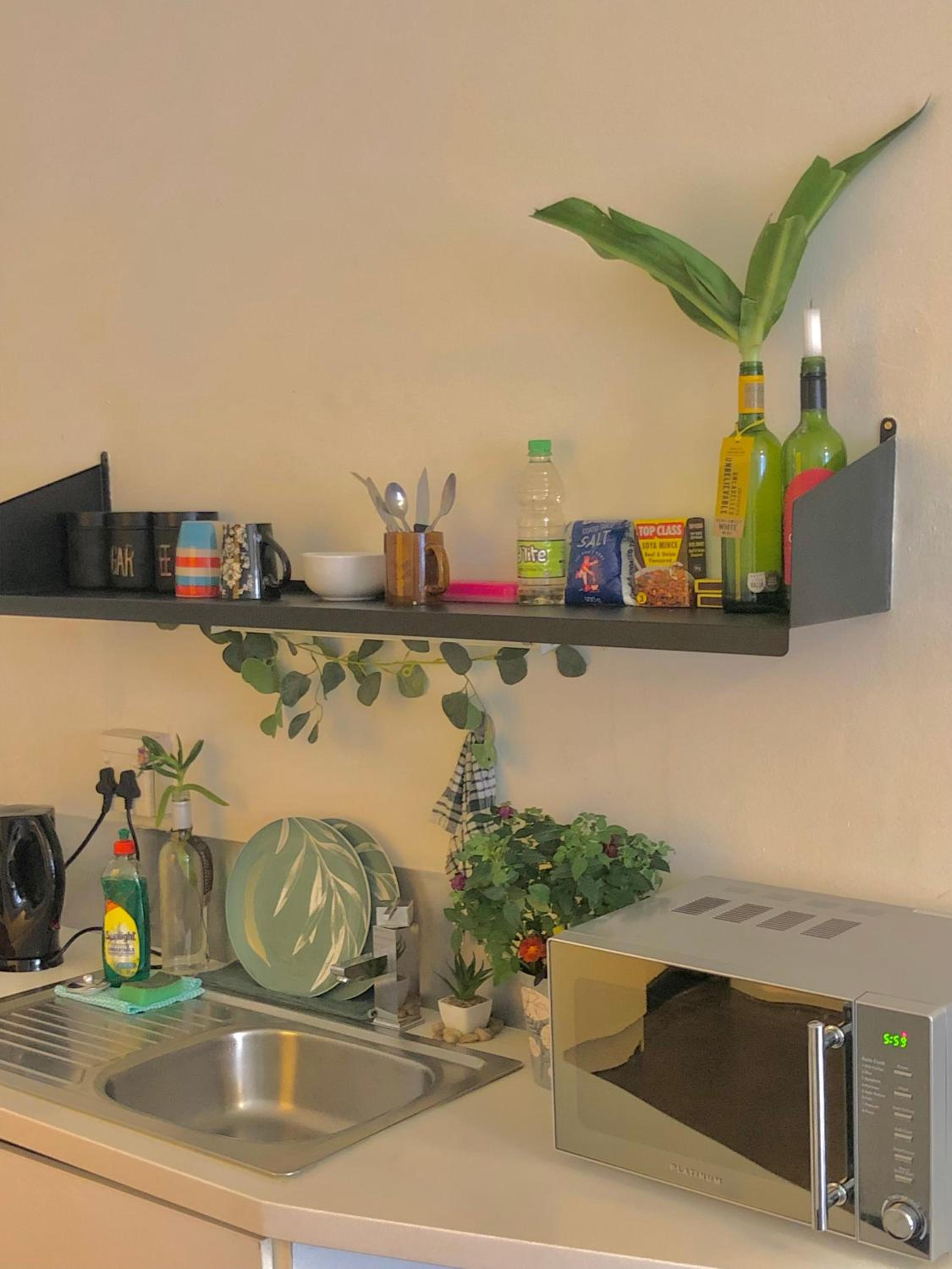 Sun's spacious apartment