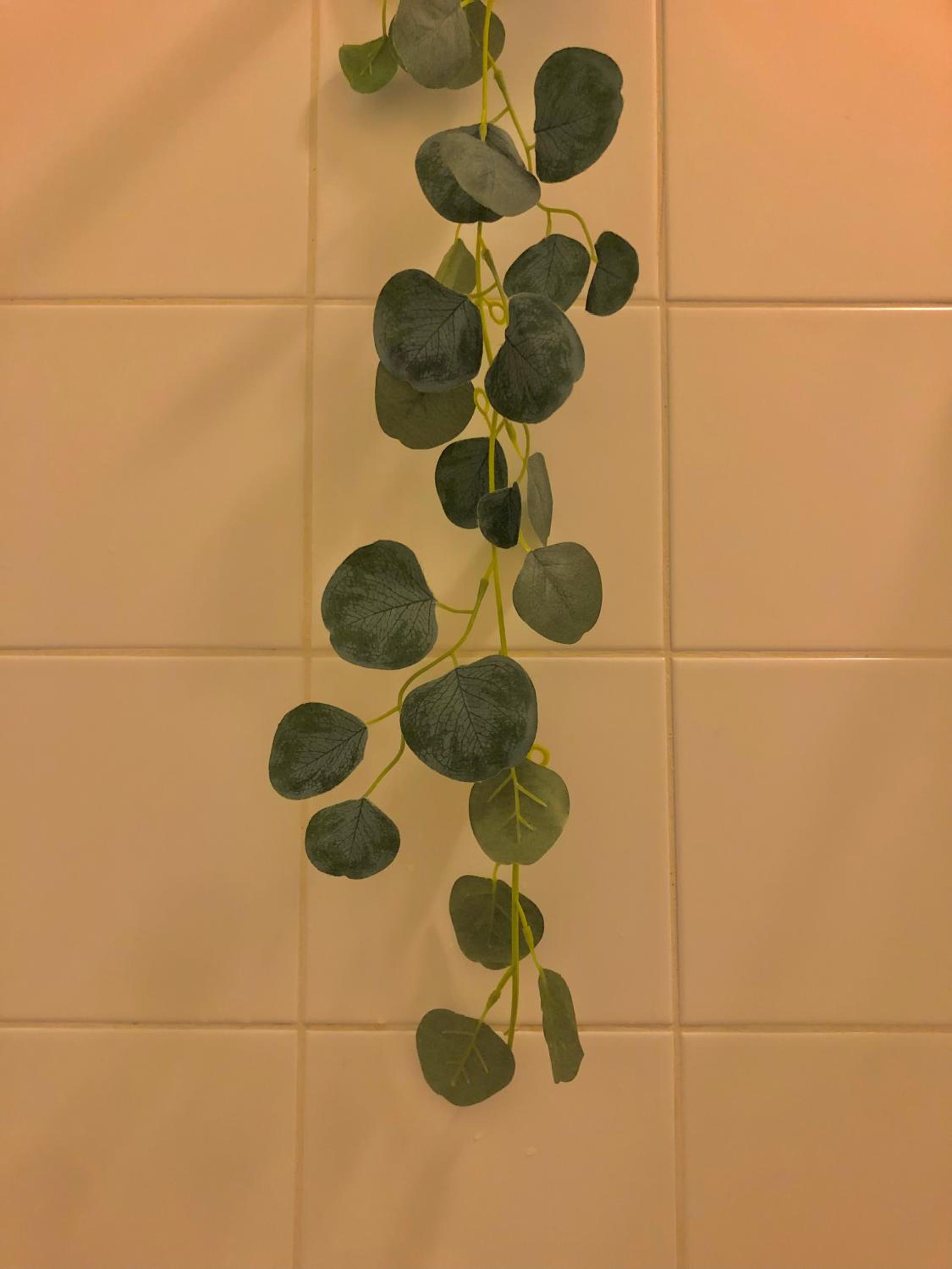 Sun's spacious apartment