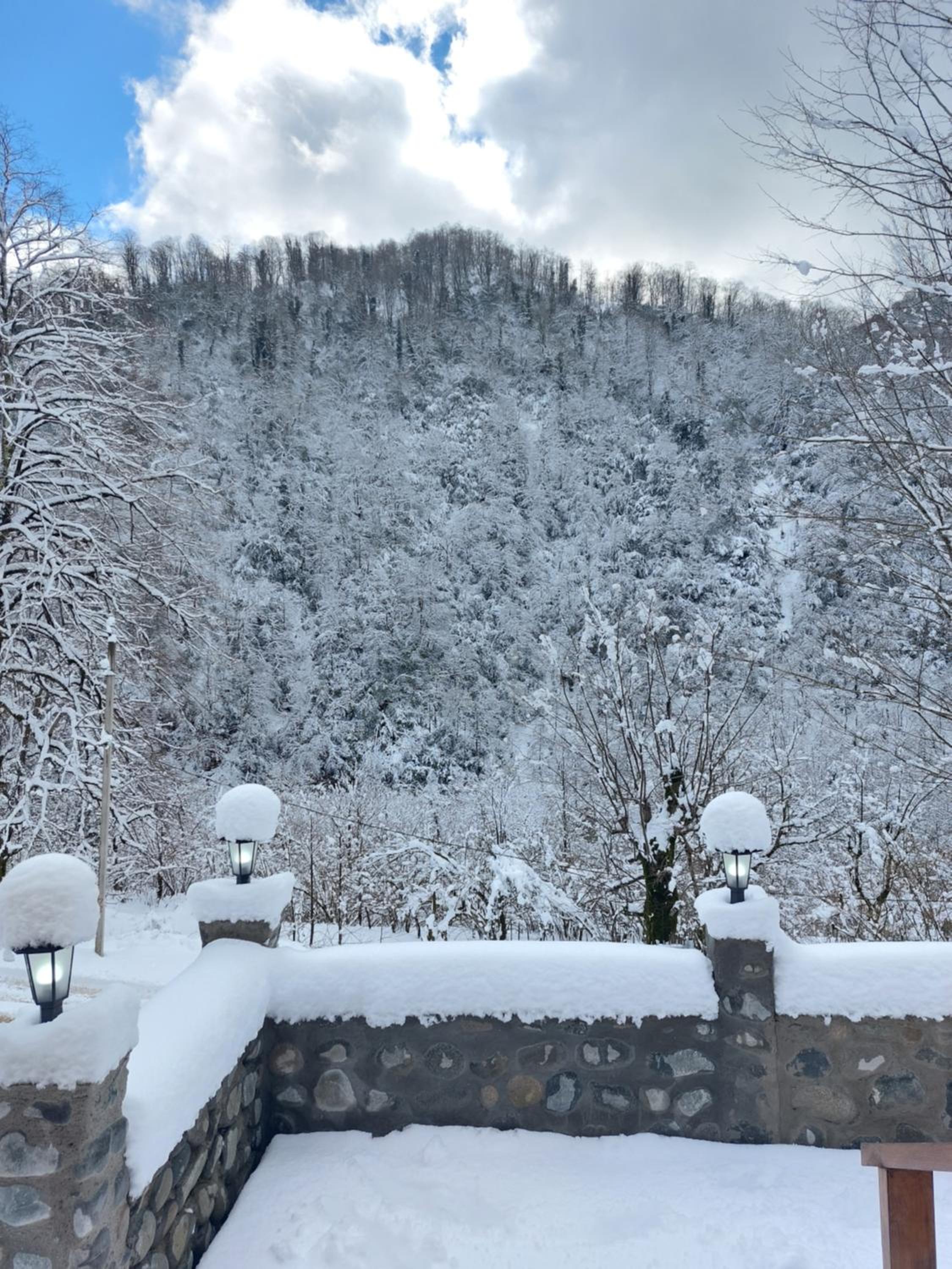Saminavo