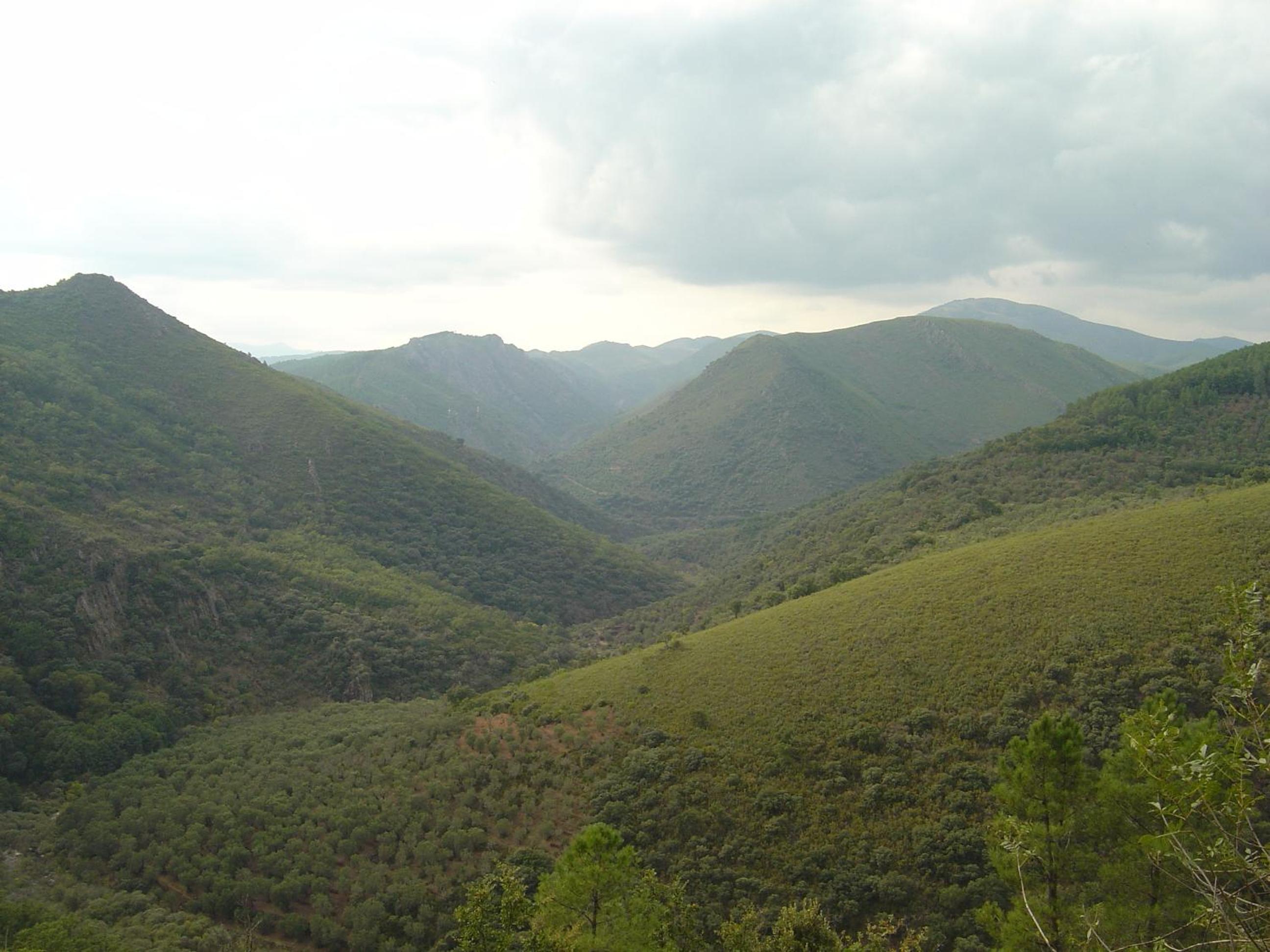 Alojamientos La Herrera view 4