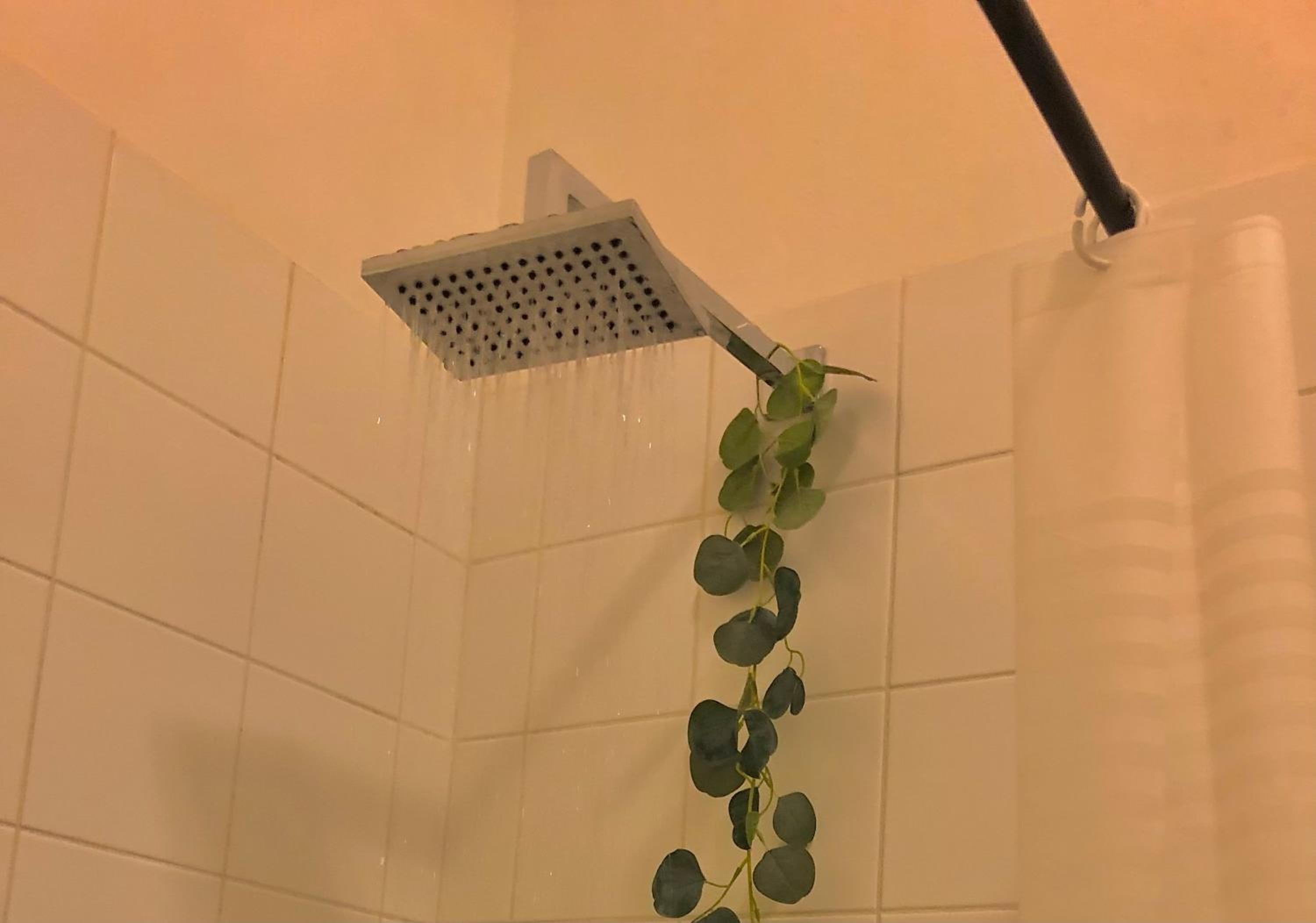 Sun's spacious apartment