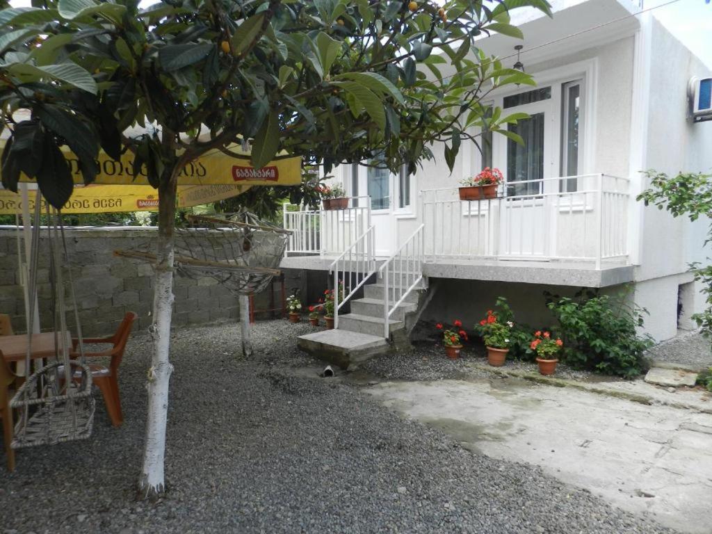 mano guest house view 5