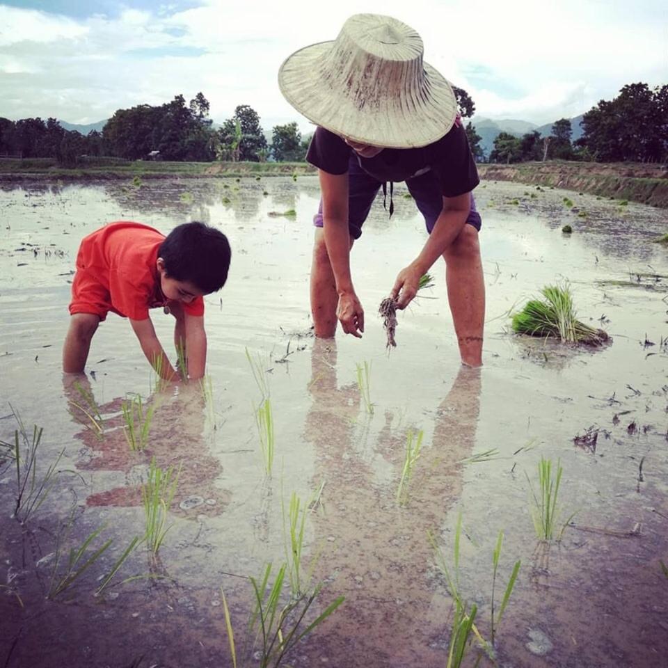 Ban Suan Nai Fun Homestay