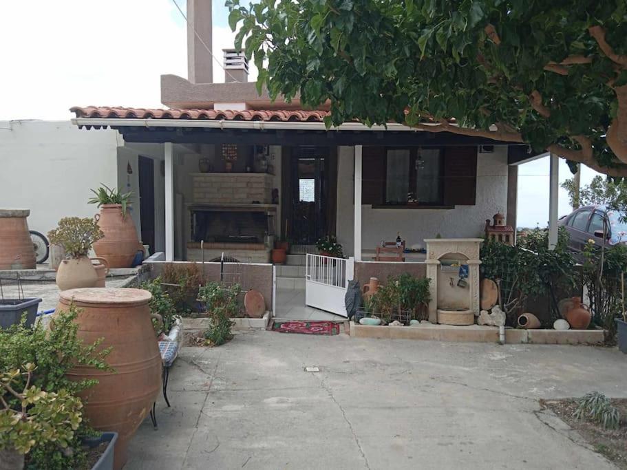 Photo 20