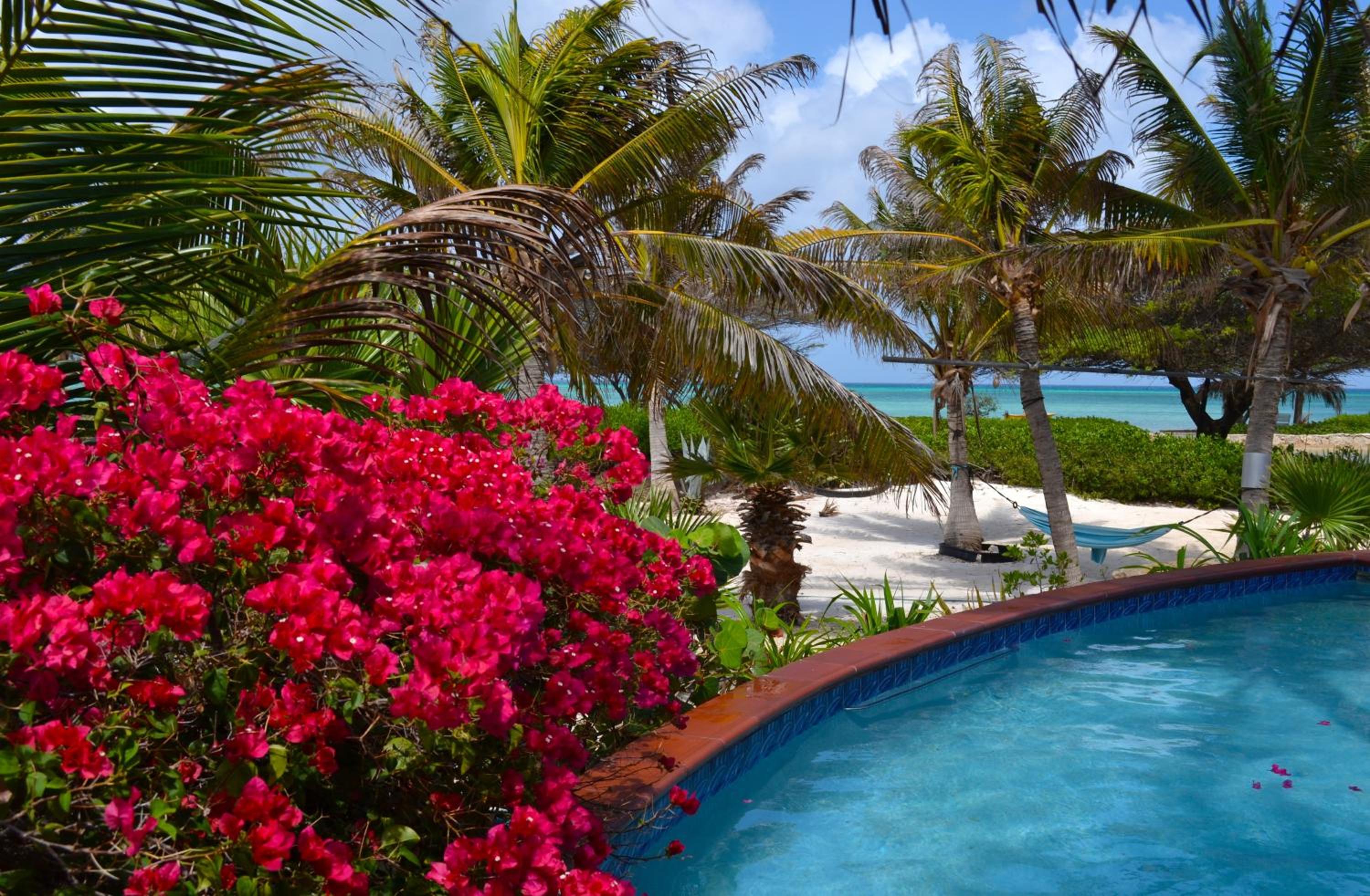 Beach House Aruba Apartments