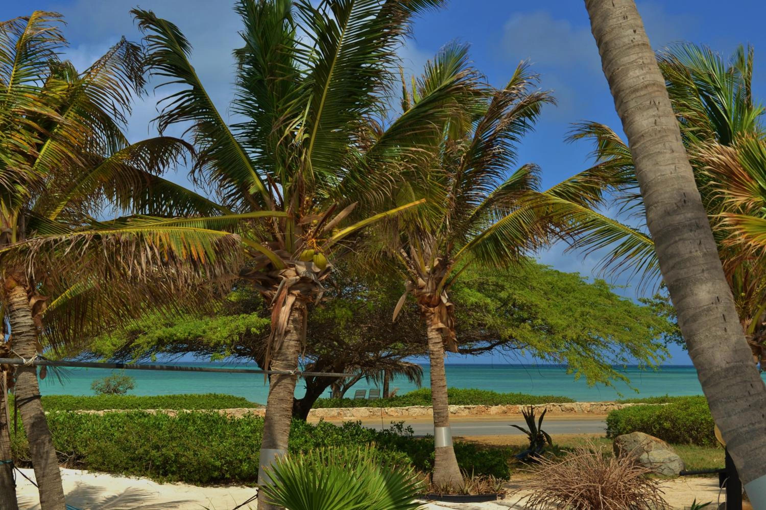 Beach House Aruba Apartments