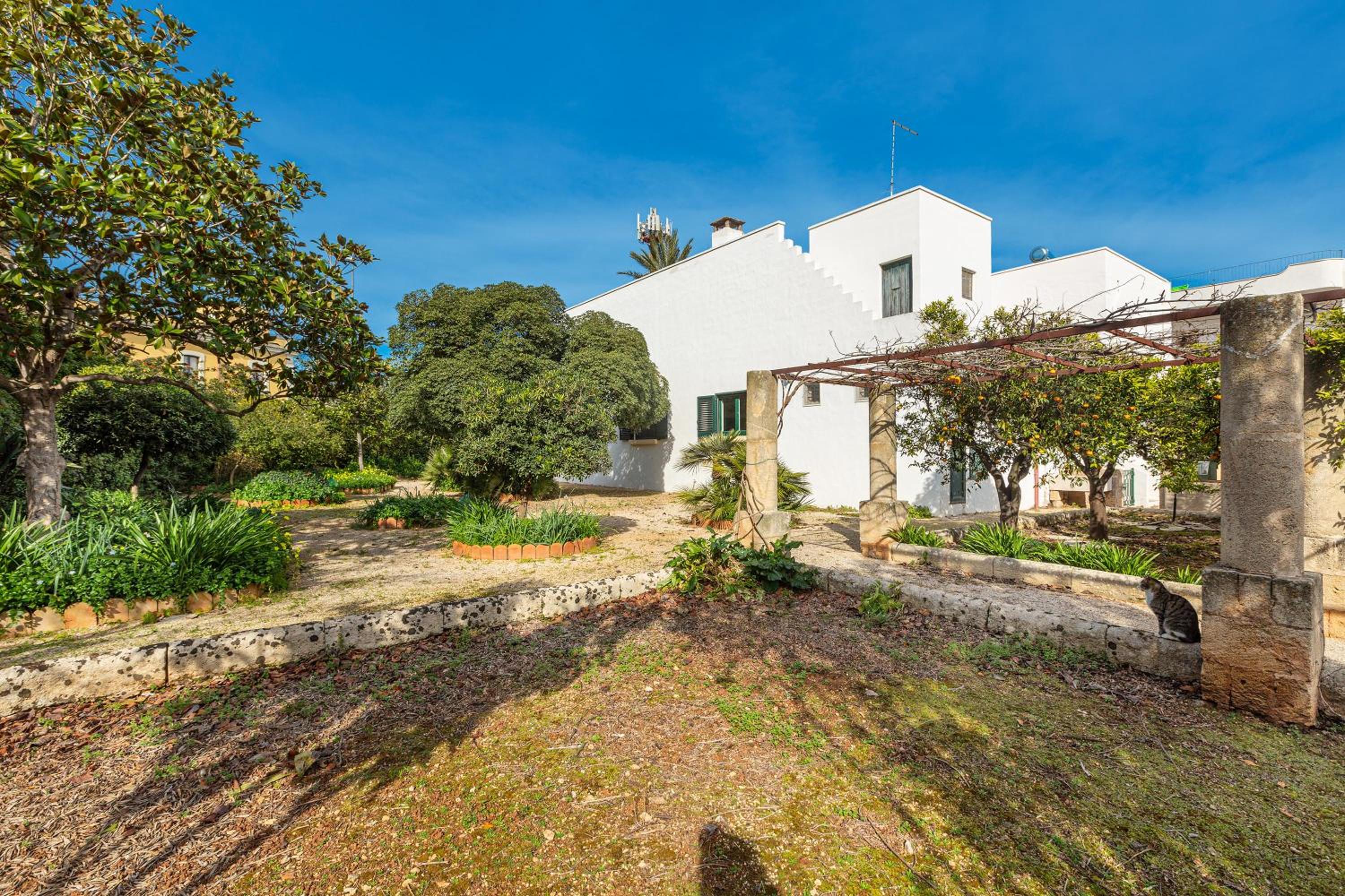 Villa Donna Linda by BarbarHouse, photo 15