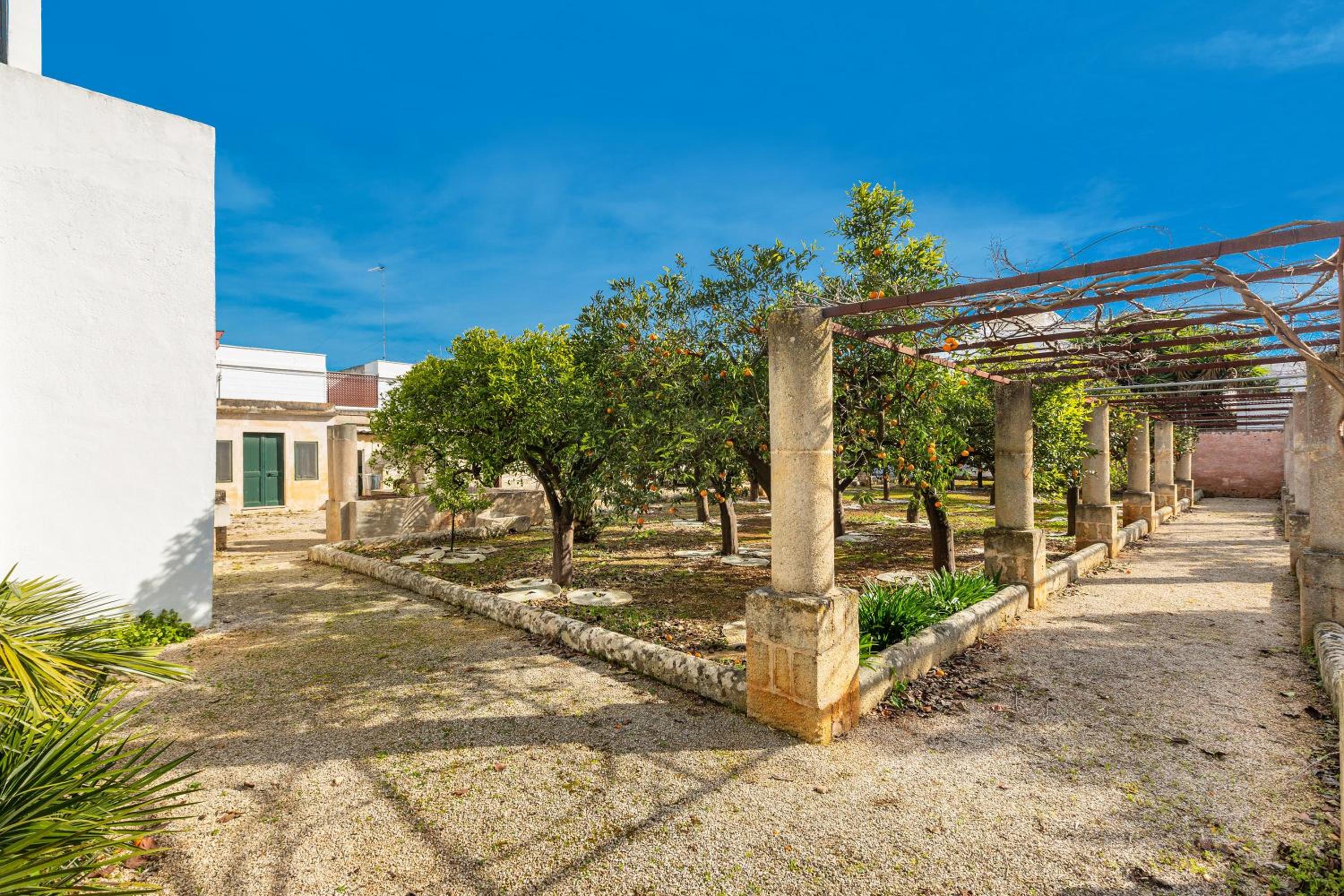 Villa Donna Linda by BarbarHouse, photo 17