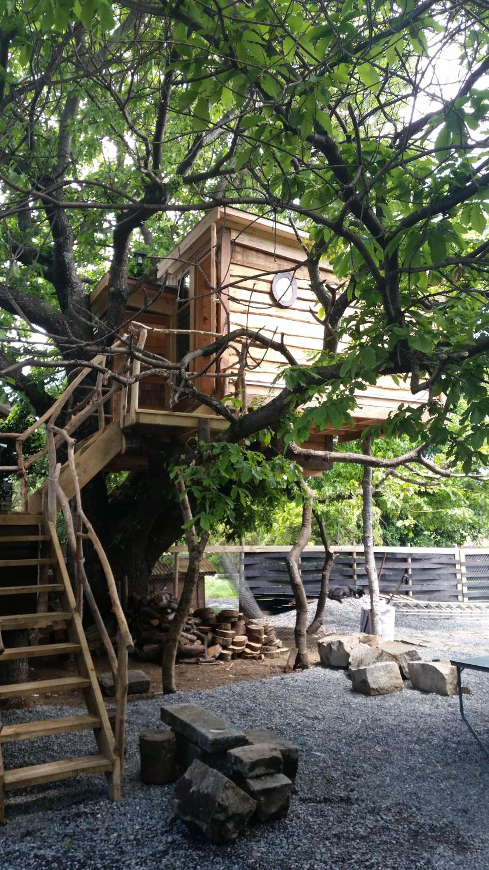 Photo 20