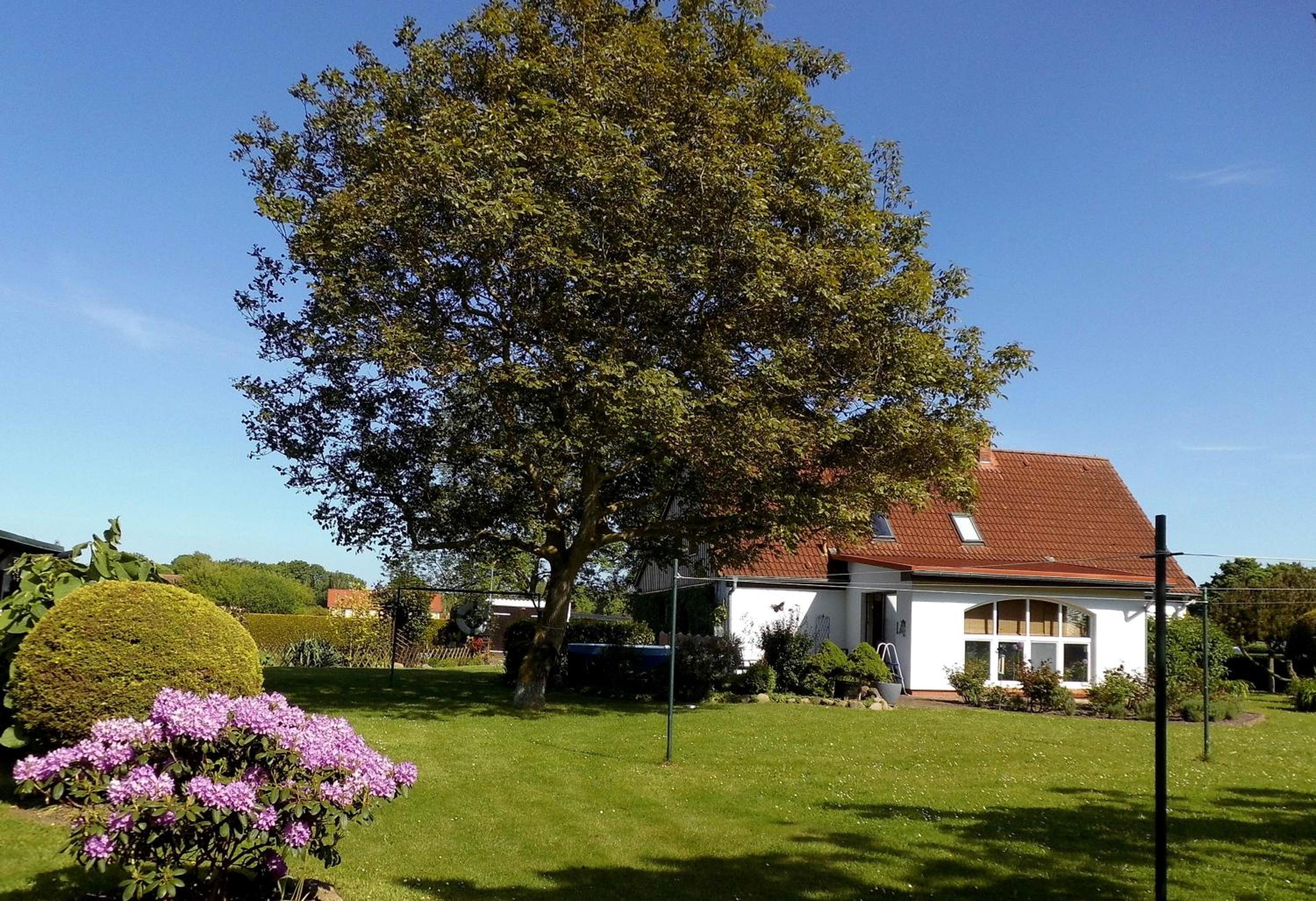 Bungalow und Ferienwohnung auf Rügen
