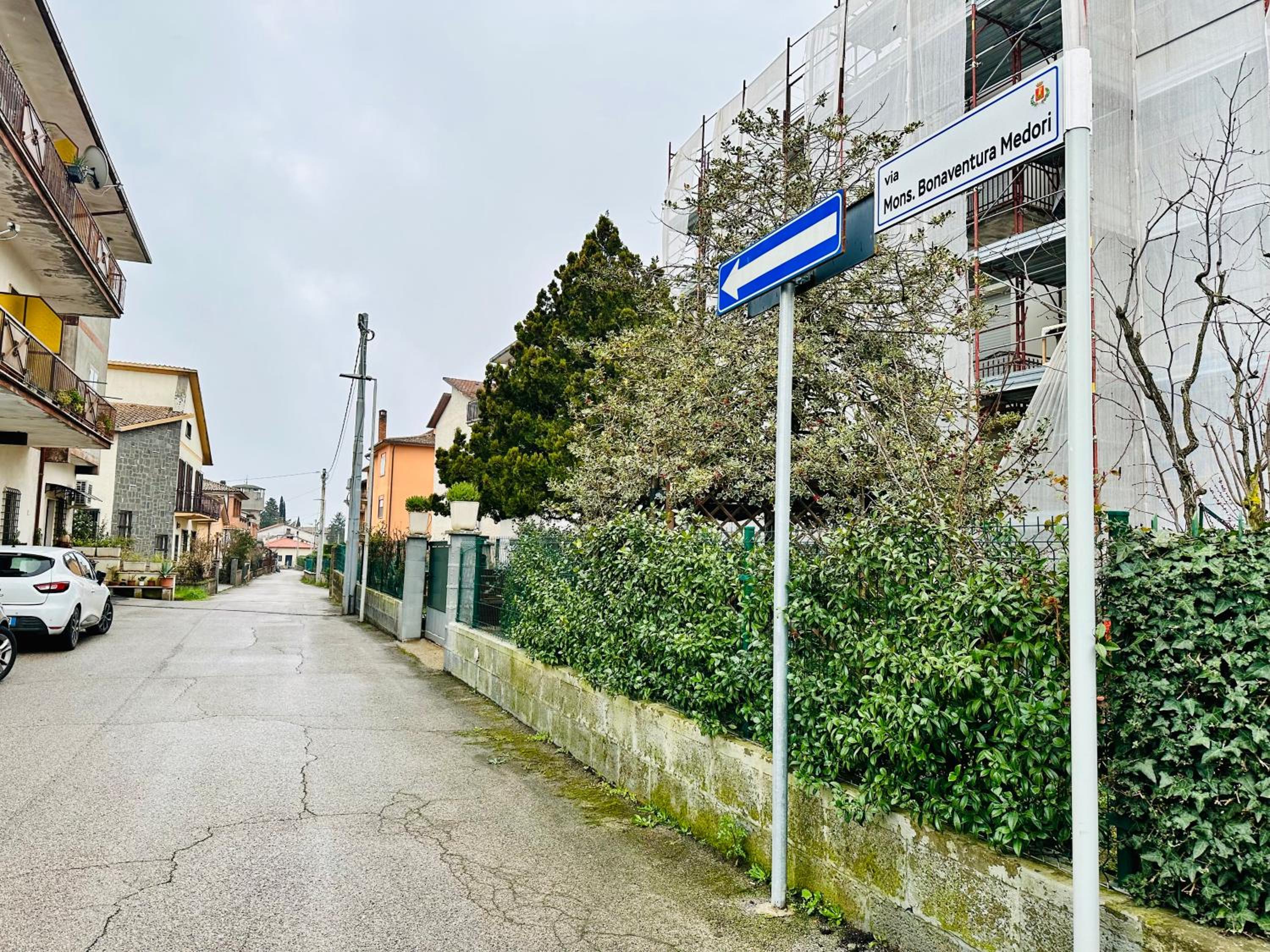 L'OLIVO DI EVELINA view 2