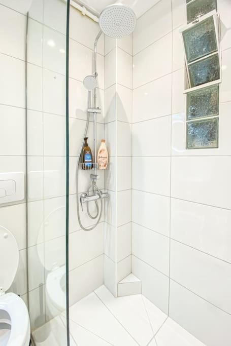 Syntagma square, 45sqm luxurious apartment