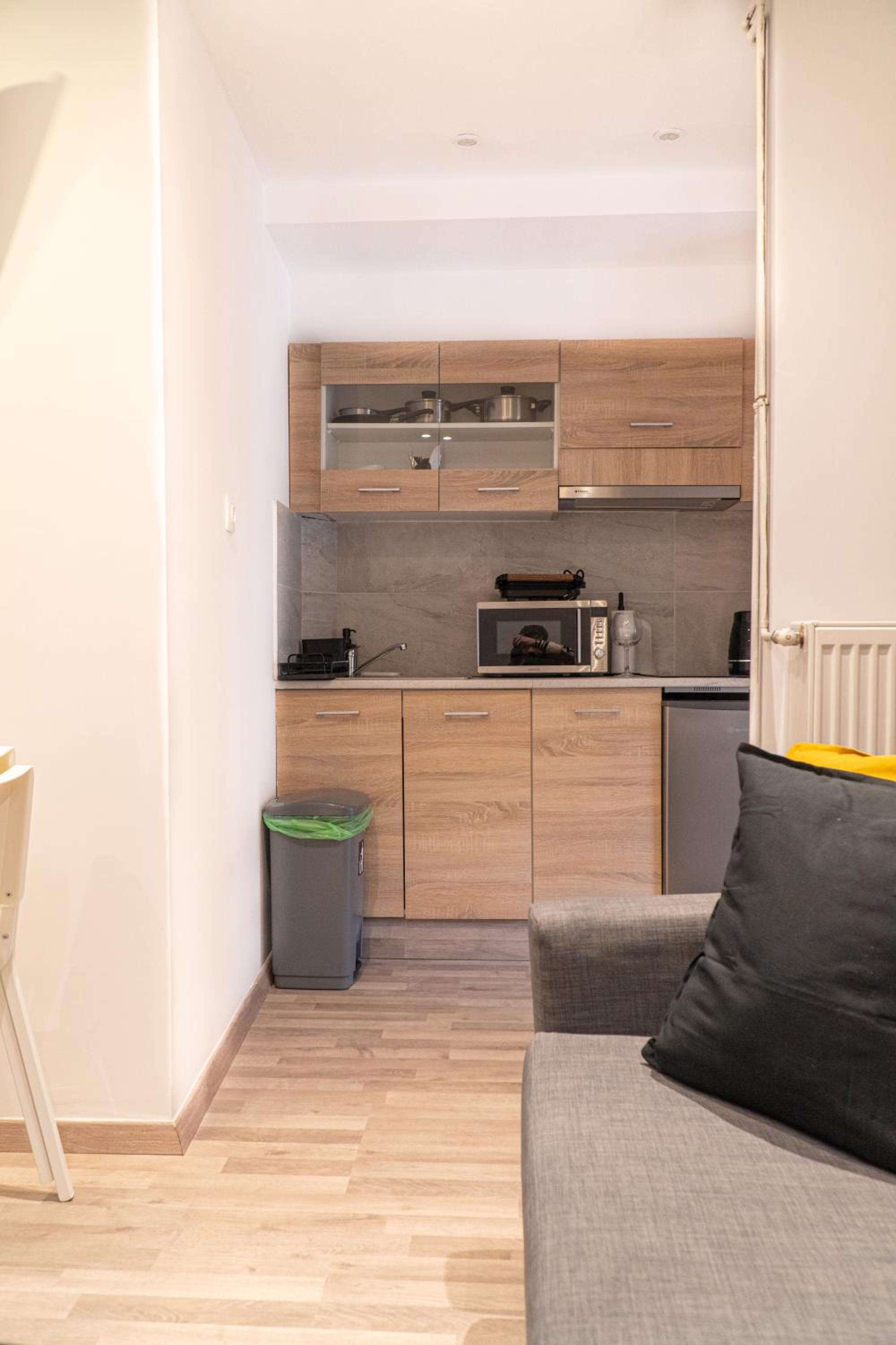 Syntagma square, 45sqm luxurious apartment