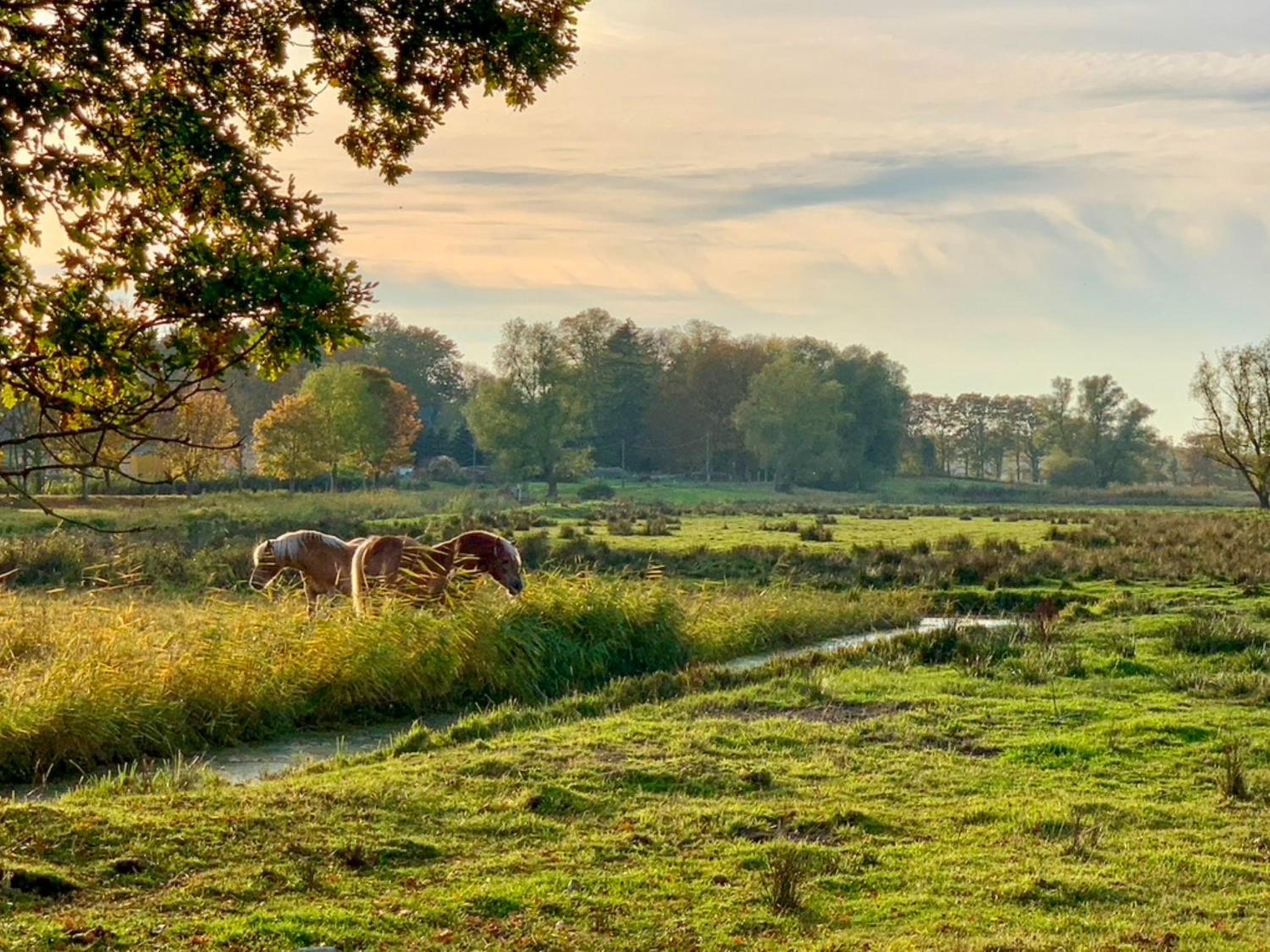 Ferienwohnungen Klein Kapelle