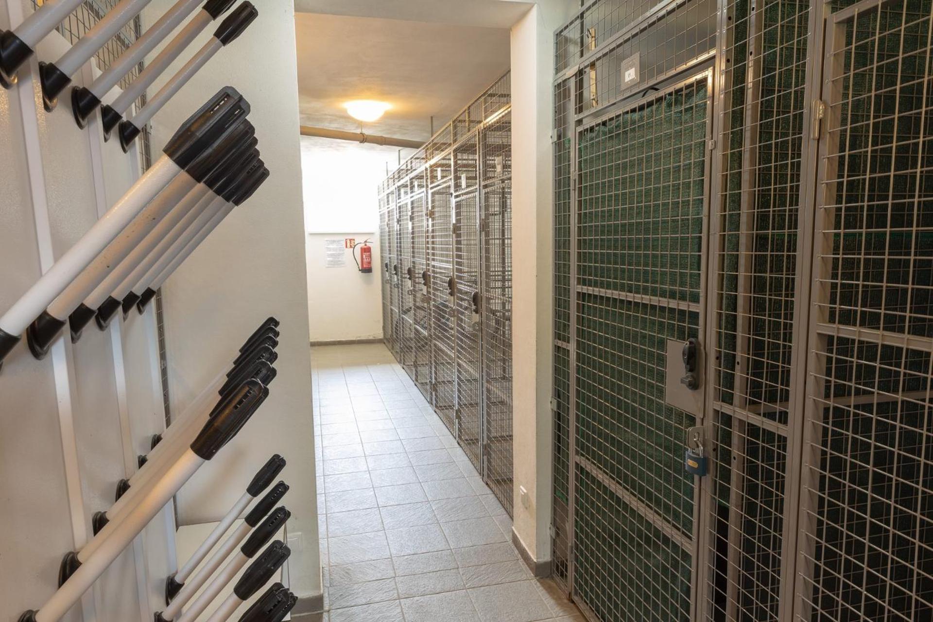 Horský apartmán přímo u sjezdovky Kouty nad Desnou