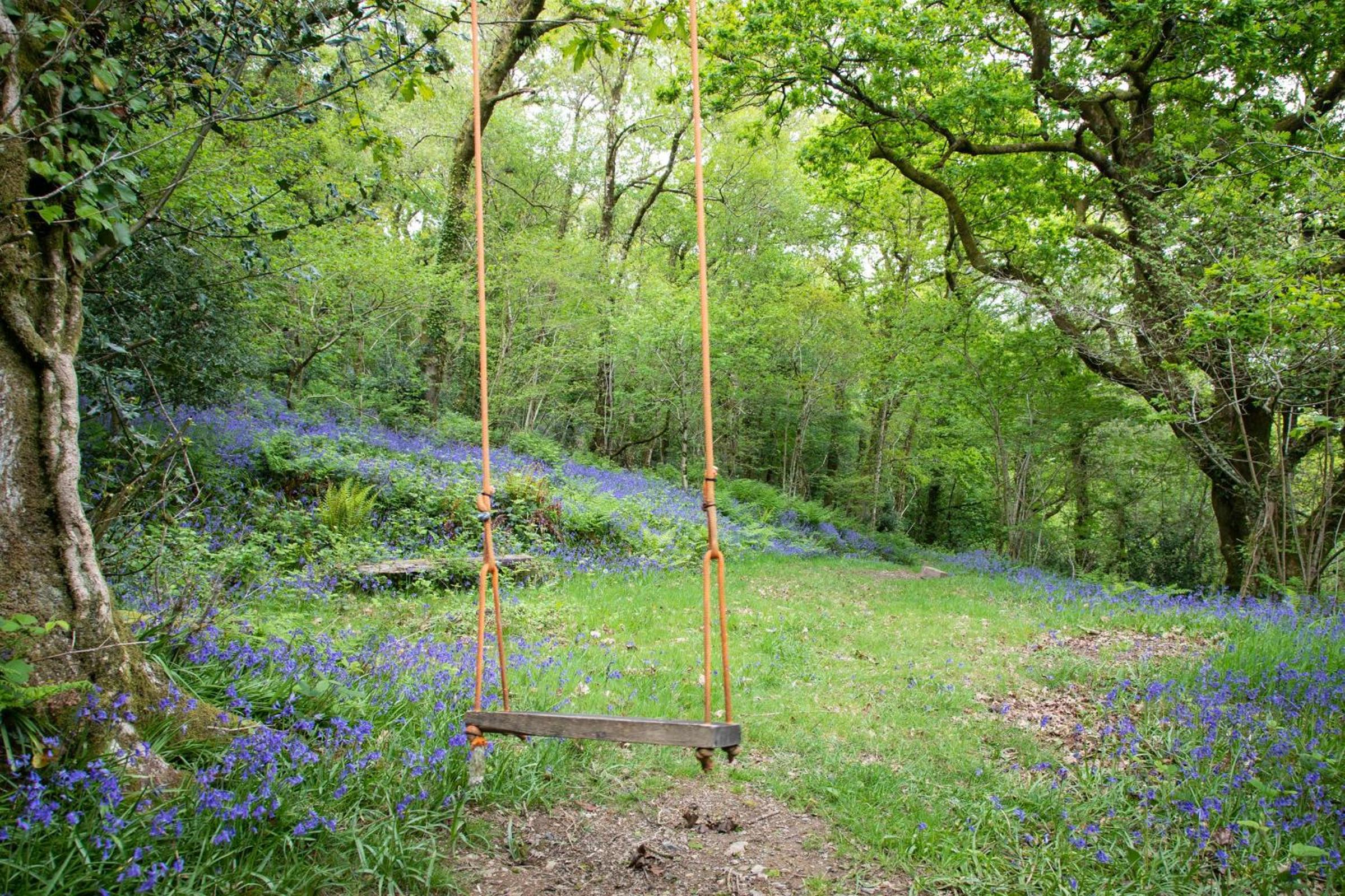 Old Oak Barn - A beautifully converted barn in idyllic setting, extremely child friendly view 4