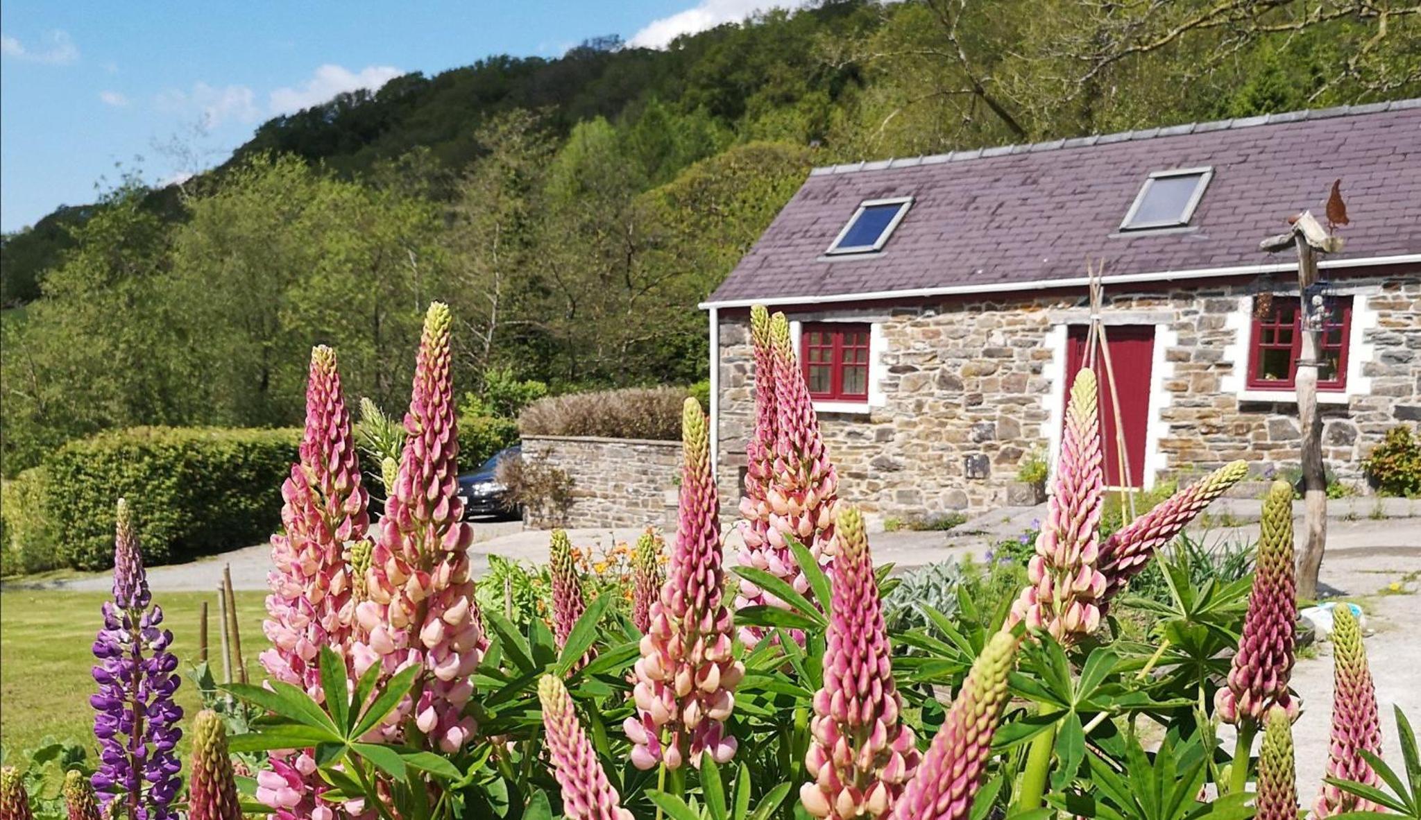 Old Oak Barn - A beautifully converted barn in idyllic setting, extremely child friendly view 5