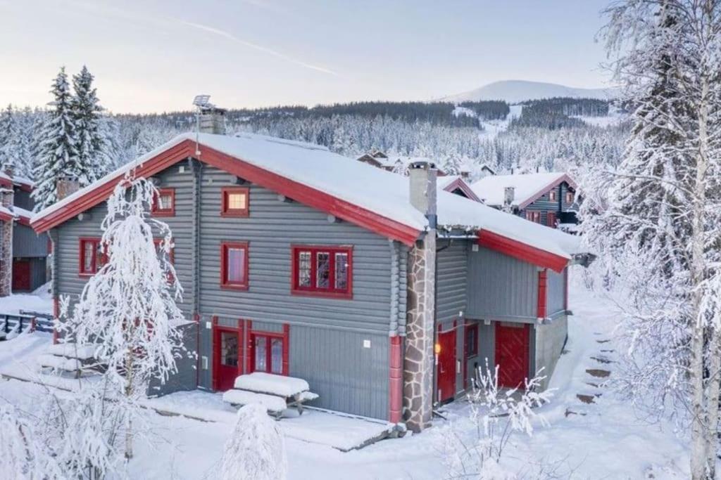 Fritidsleilighet i Vikinggrenda