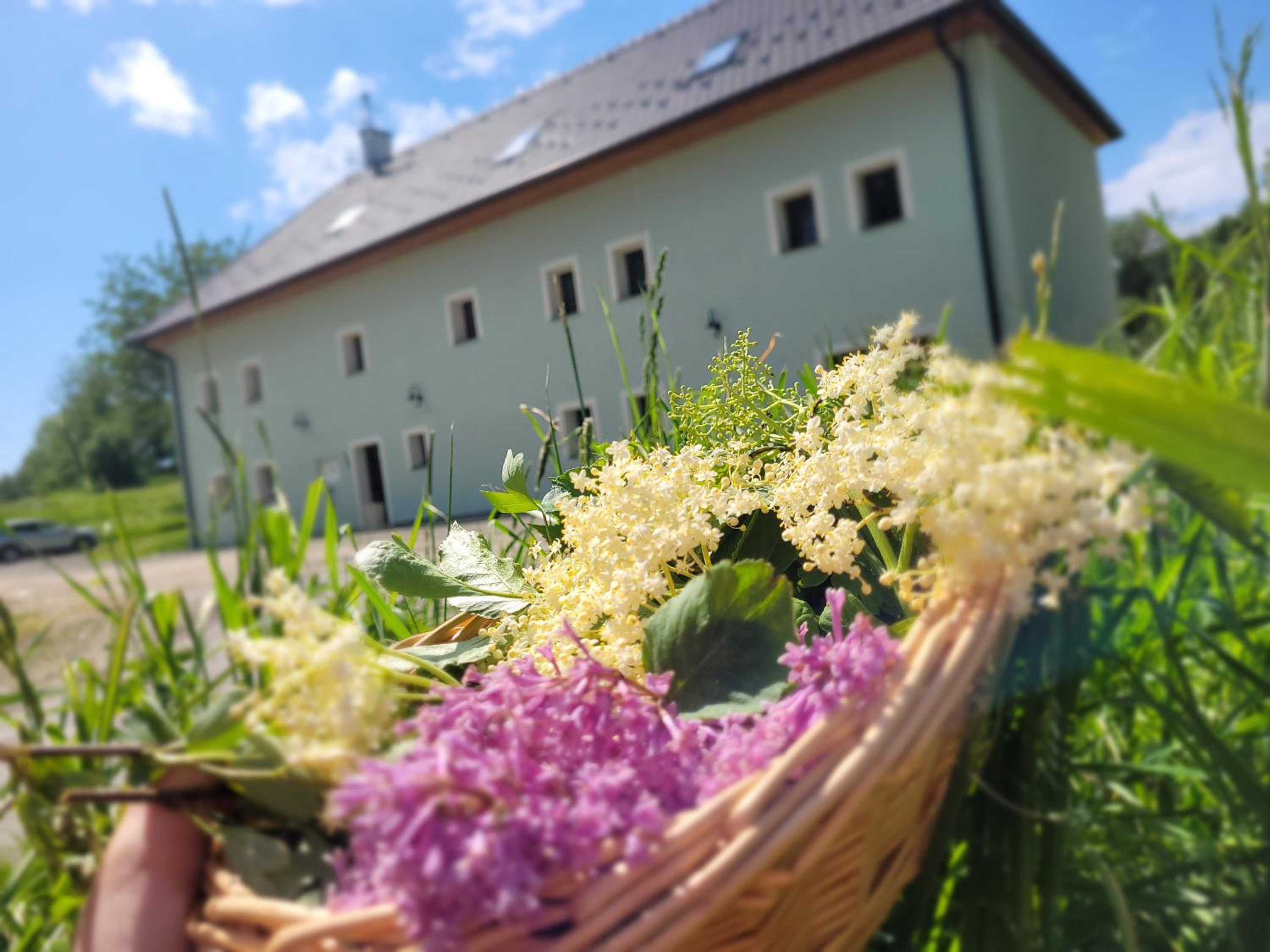 Hotel Penzion U Fořta - Image 1