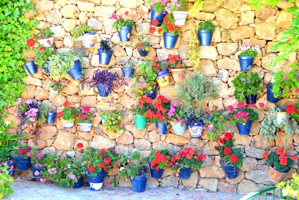 Casita Tranquila