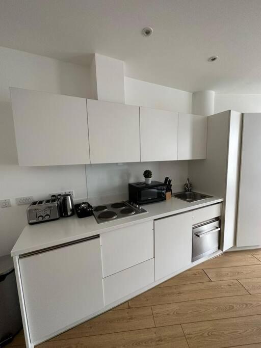 Central London Gem 1 BR Flat Piccadilly Circus VR8