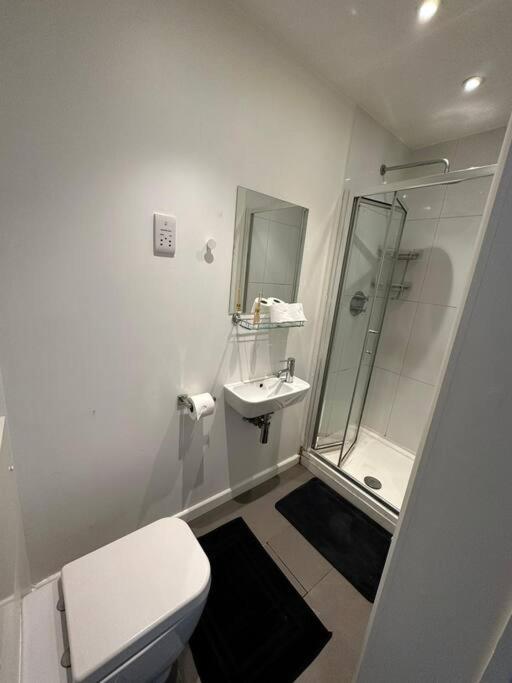 Central London Gem 1 BR Flat Piccadilly Circus VR8