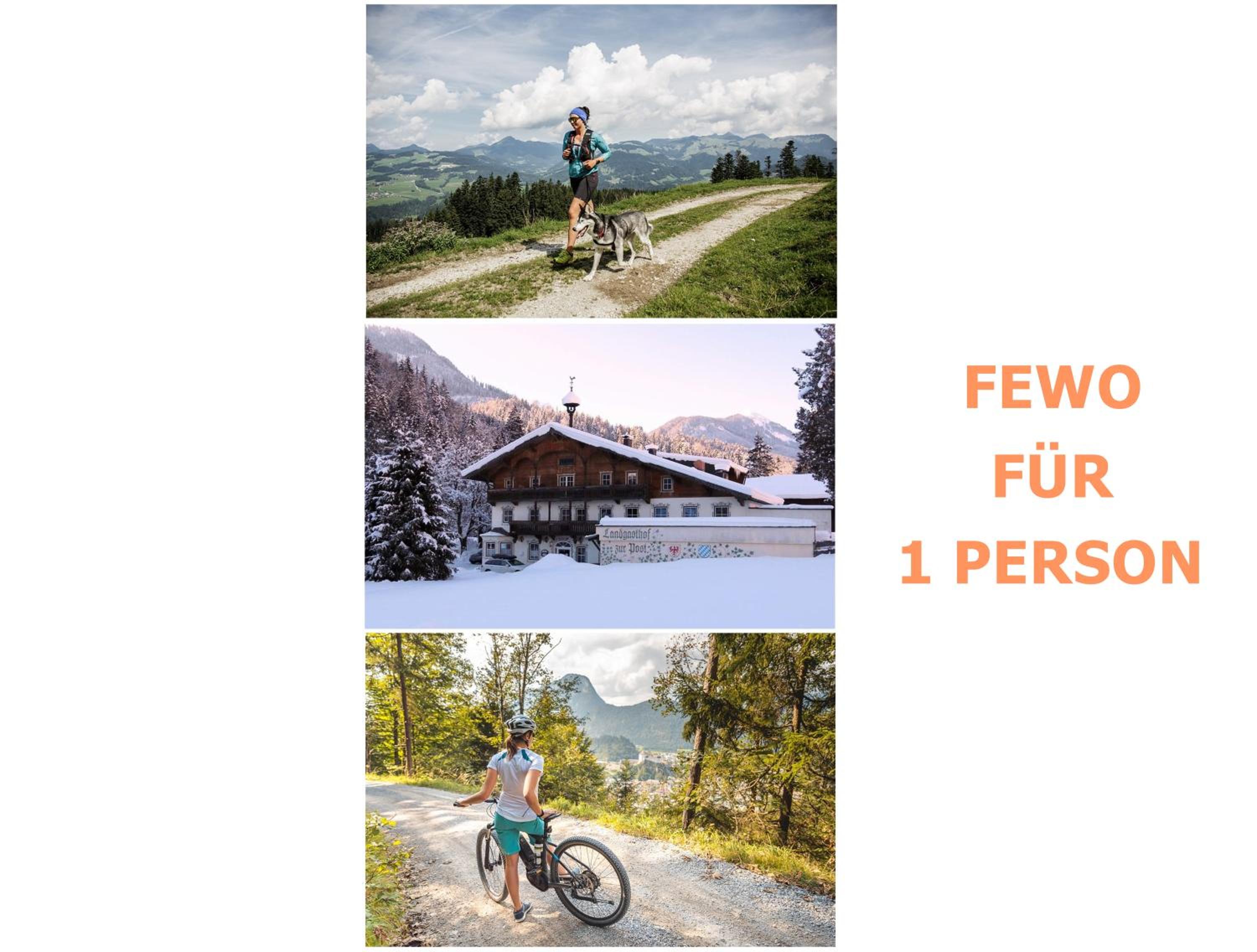 Alpenlodge, Ferienwohnung 9