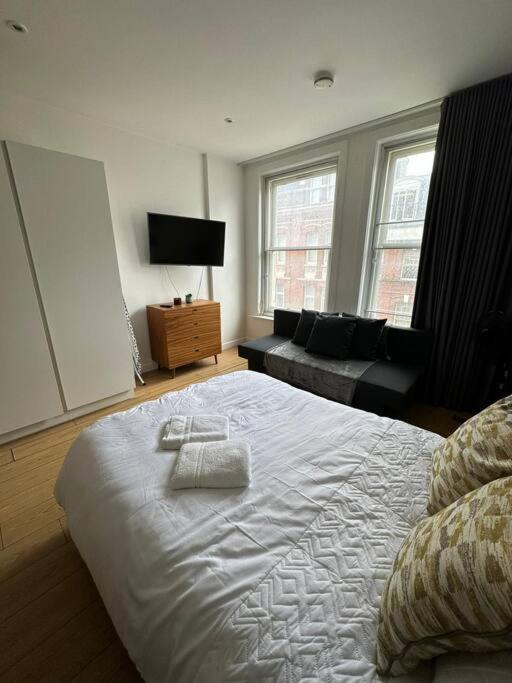 Central London Gem 1 BR Flat Piccadilly Circus VR8