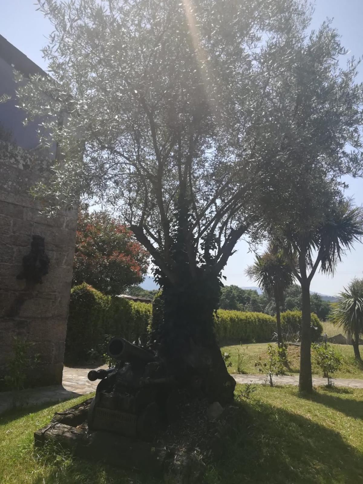 Casa Rural del General Albelda