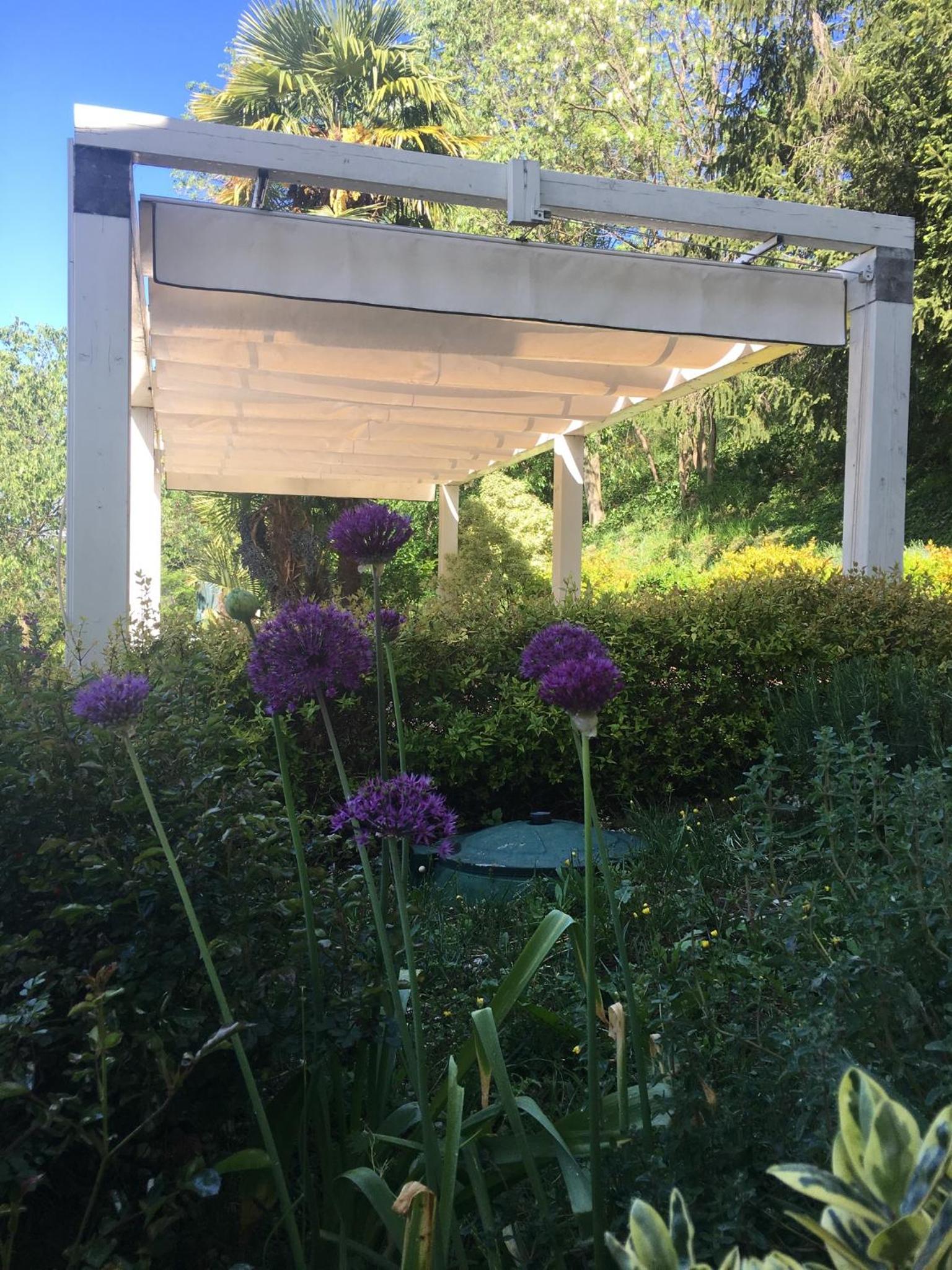 Euganean Hills Apartment photo 5