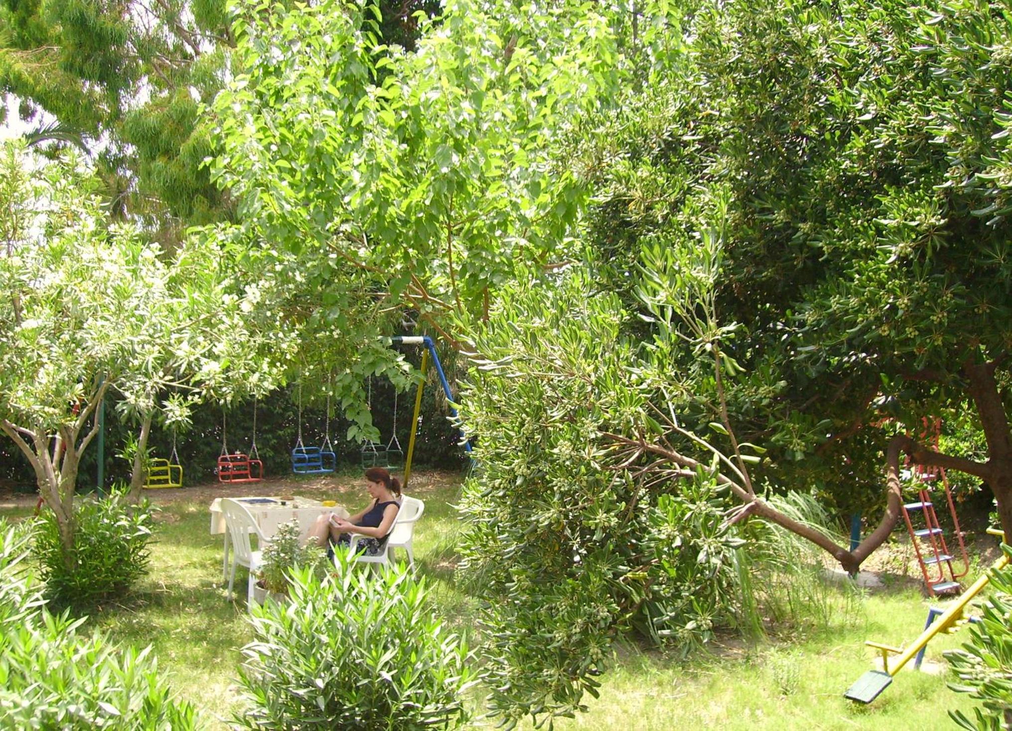 Photo 58