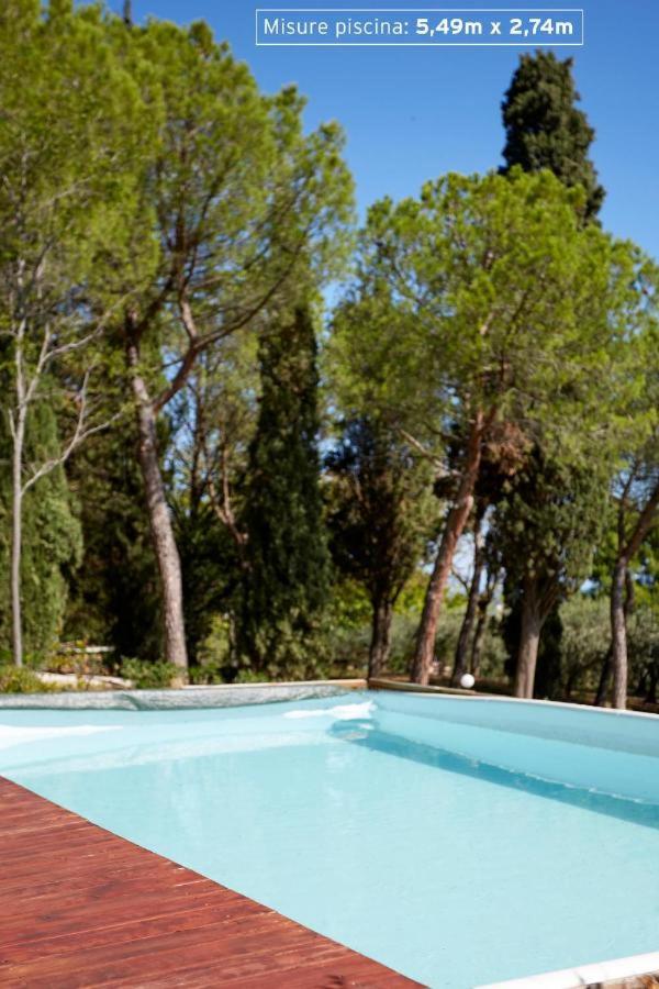 SE053 - Senigallia, meraviglioso trilocale con piscina view 4