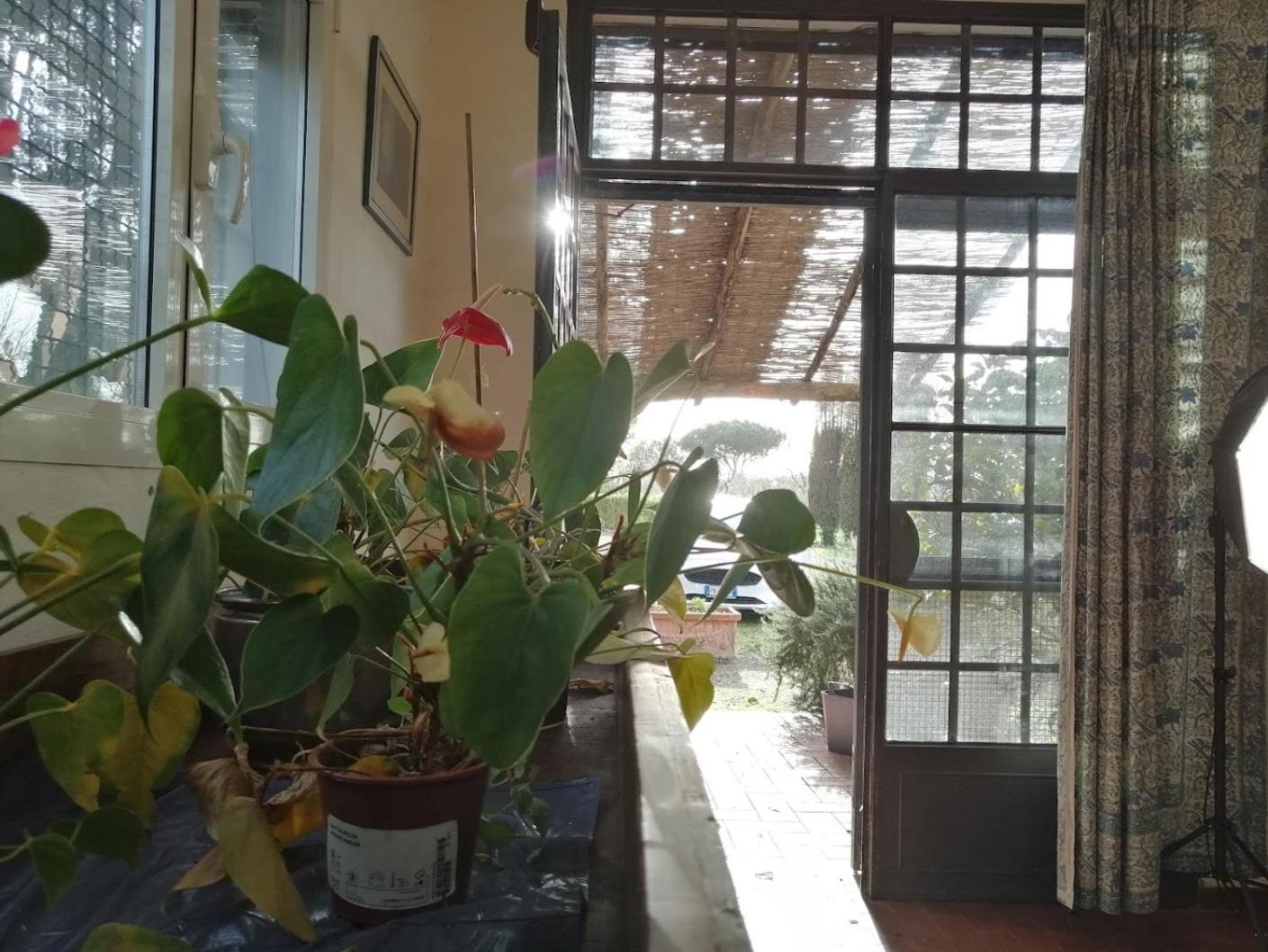 BB Villa Bolgheri Mare view 5