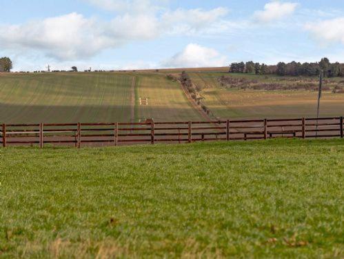 Gallops
