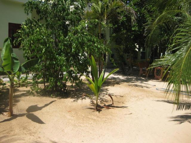 Cocosand Hotel