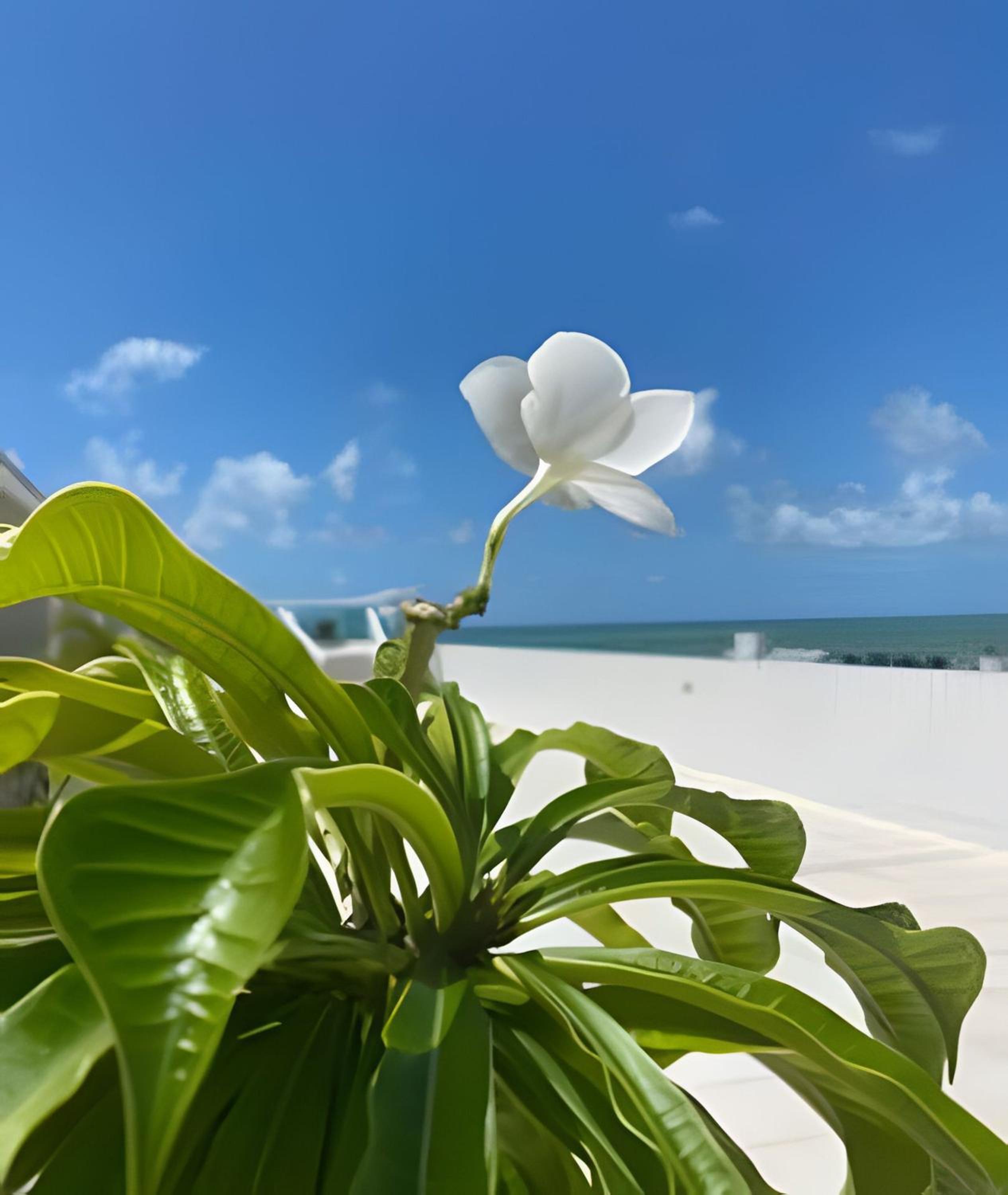 other